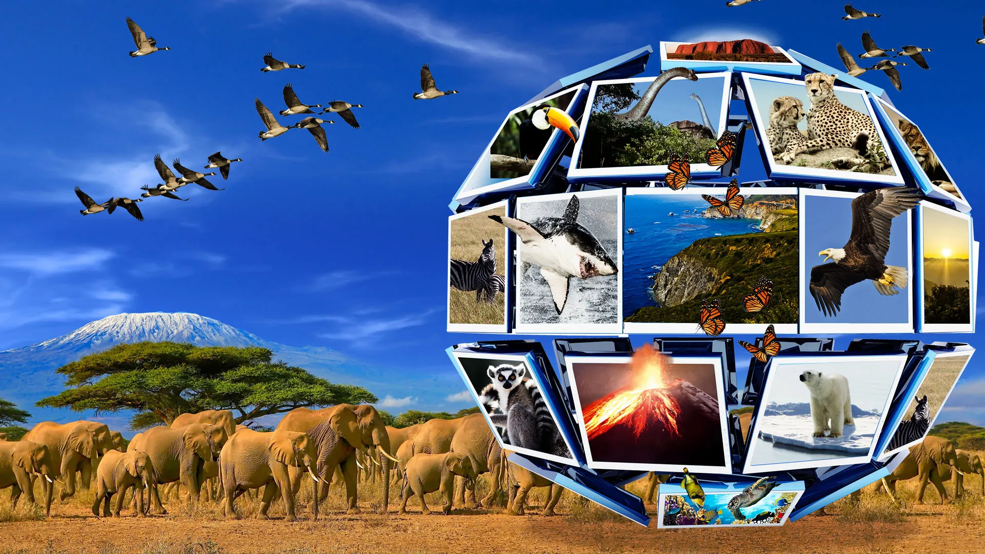 Wonderful World