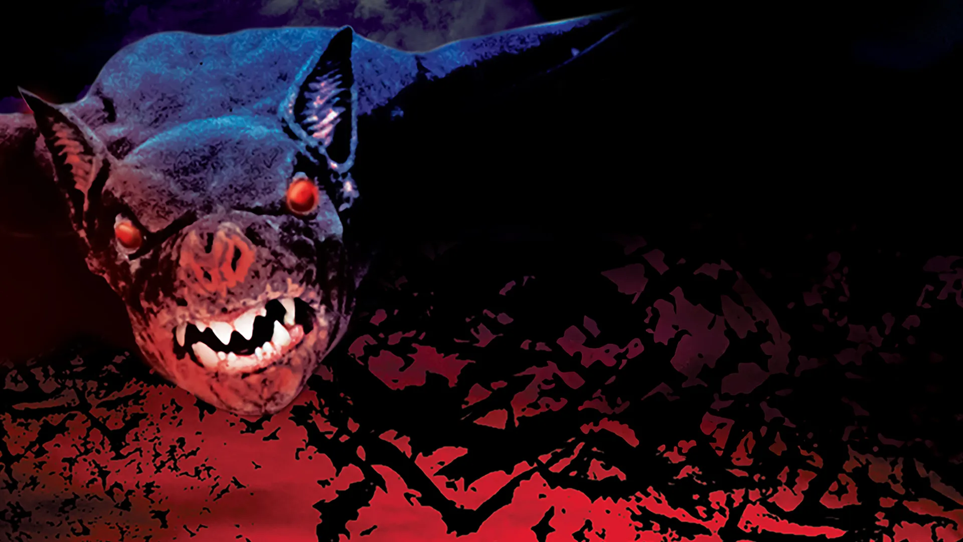 Bats