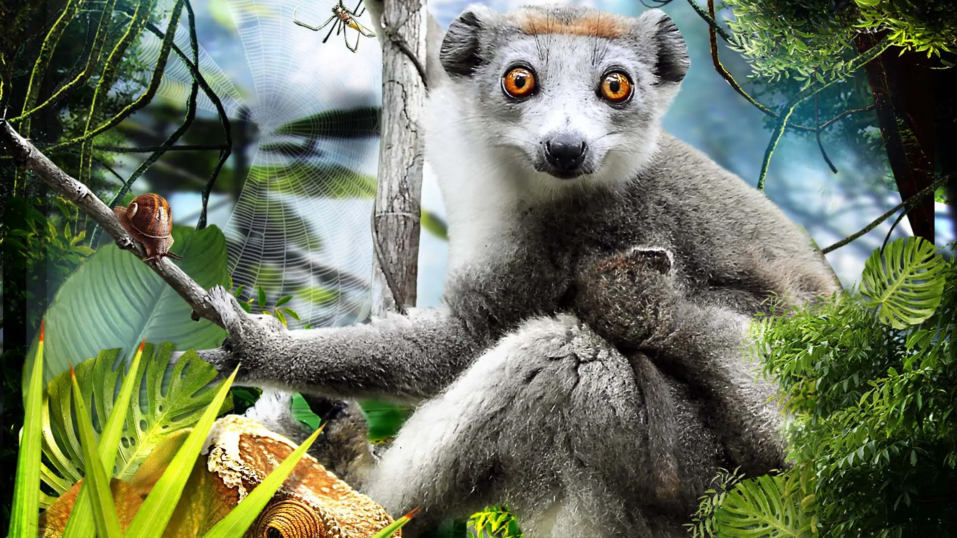 Madagascar