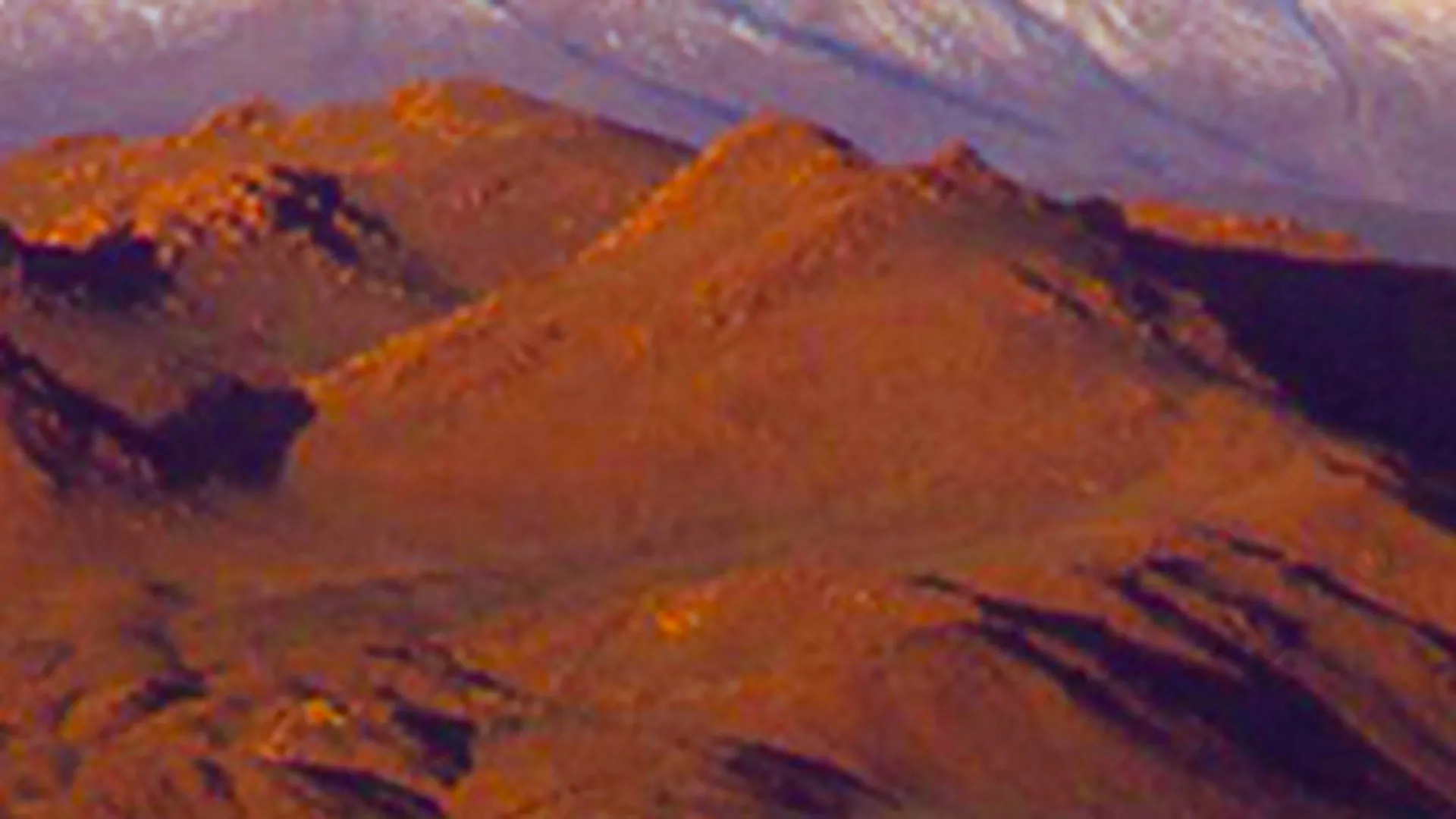 Wild Mongolia