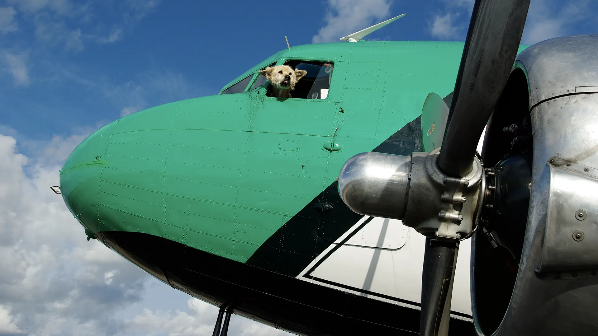Pilotos del Ártico