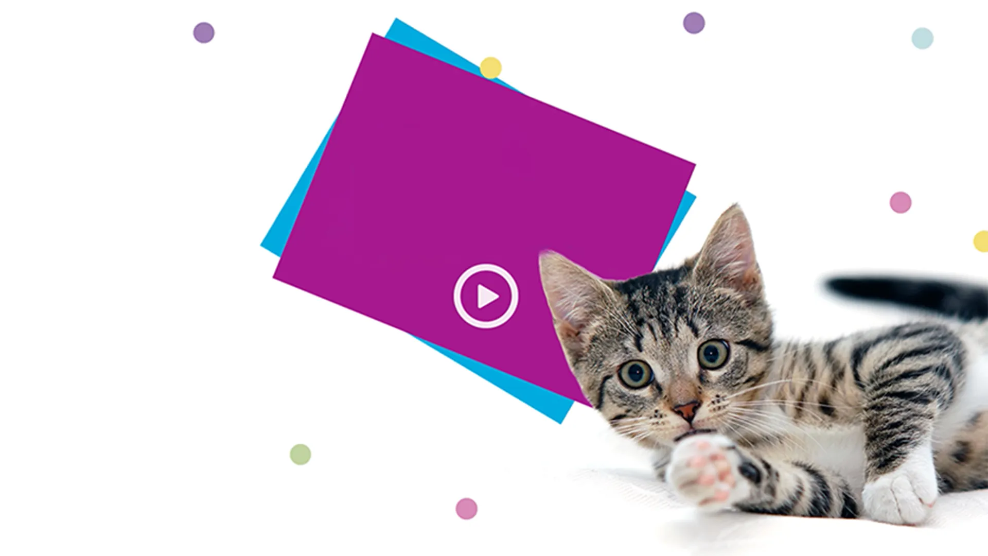 Gativideos