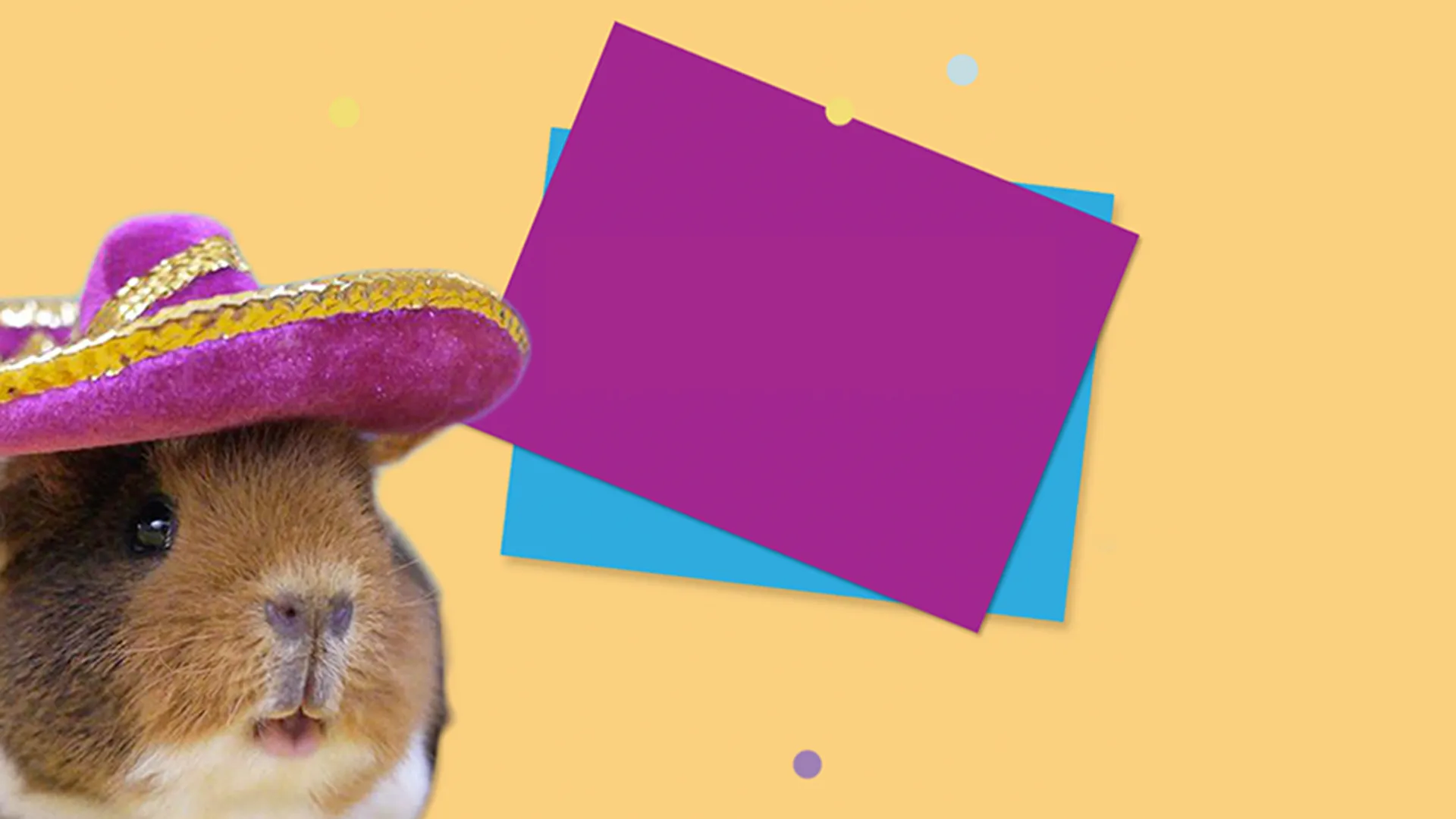 Mascotas Destacadas