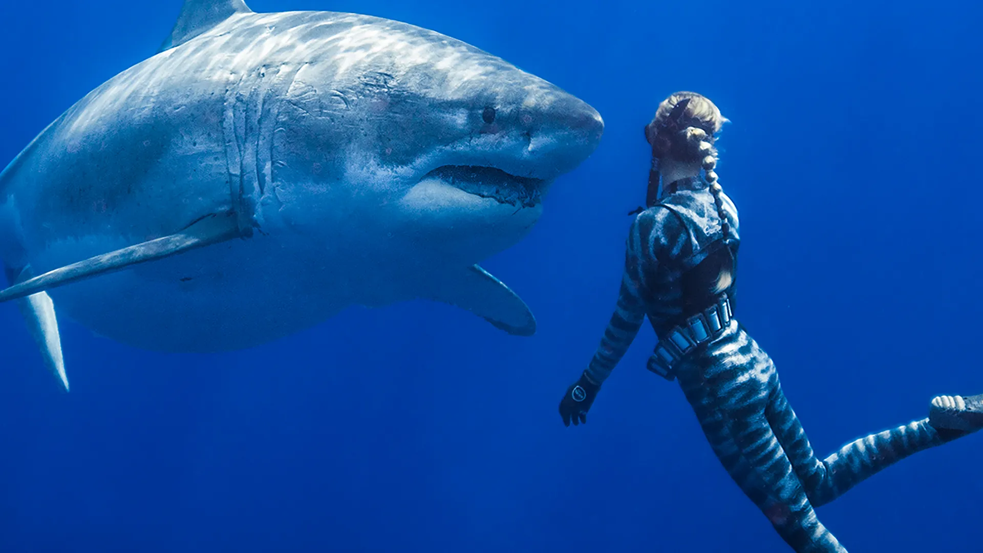 Saving Jaws
