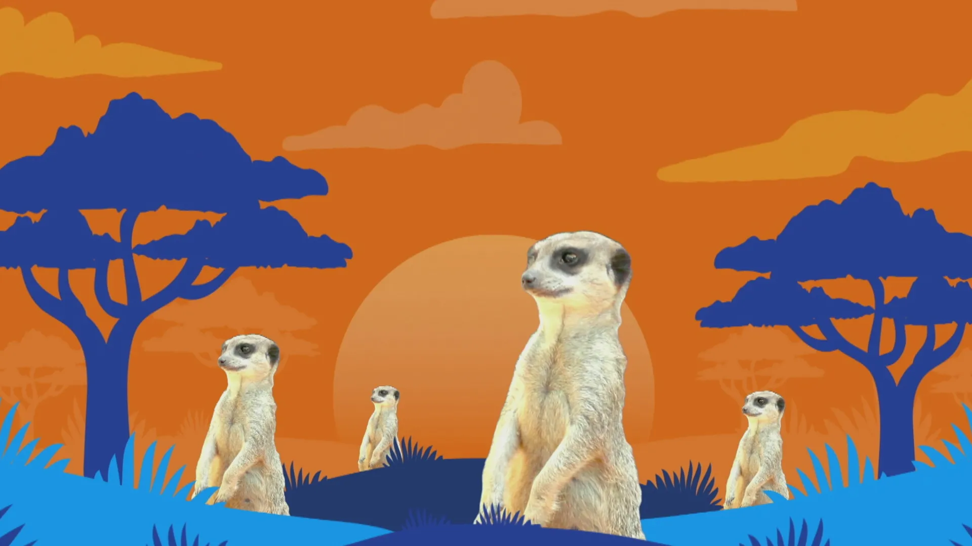 Zoofari