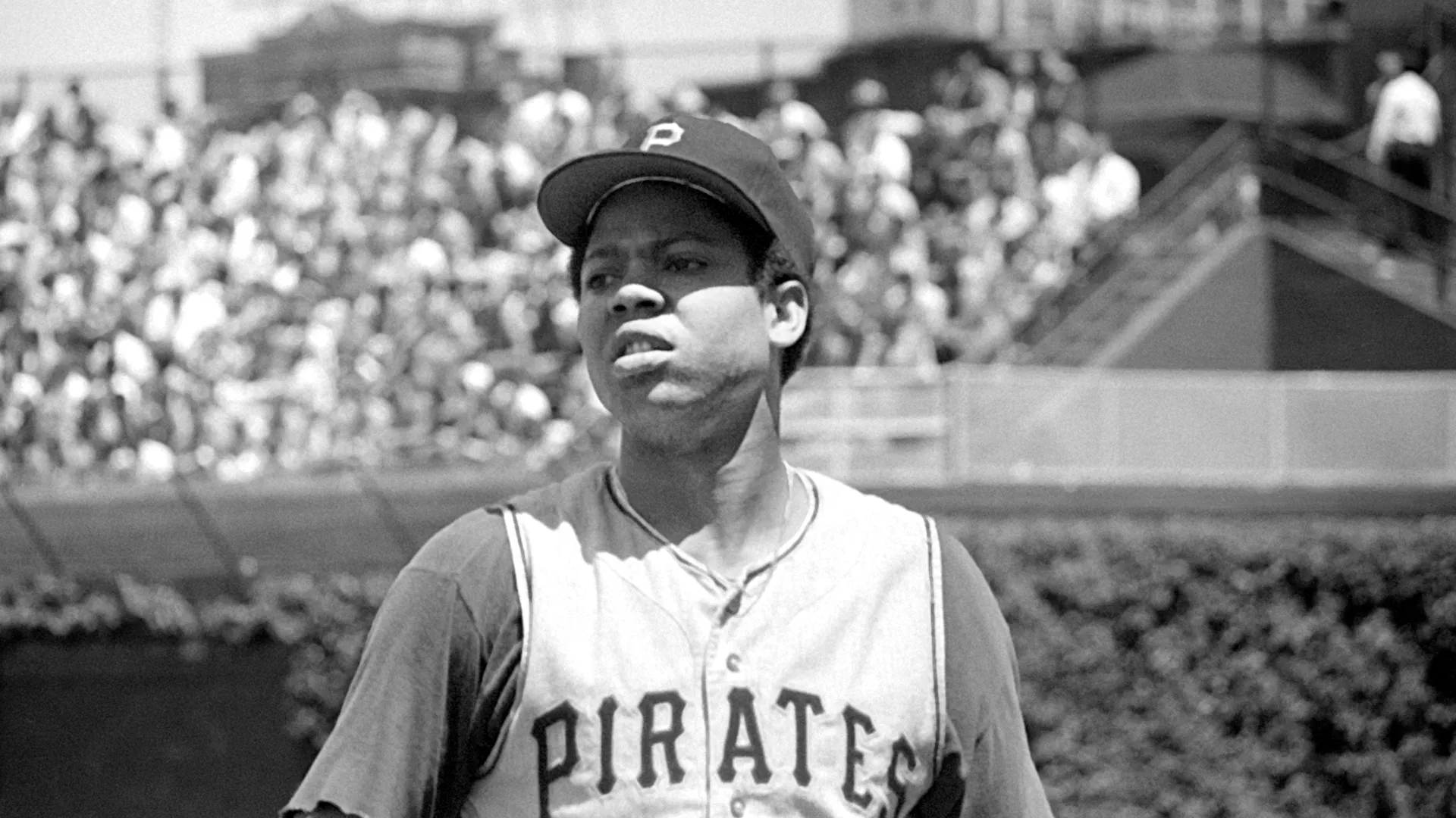 No No: A Dockumentary