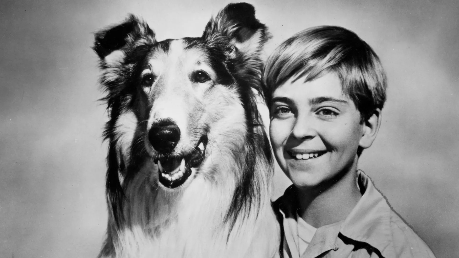 The Story of Lassie