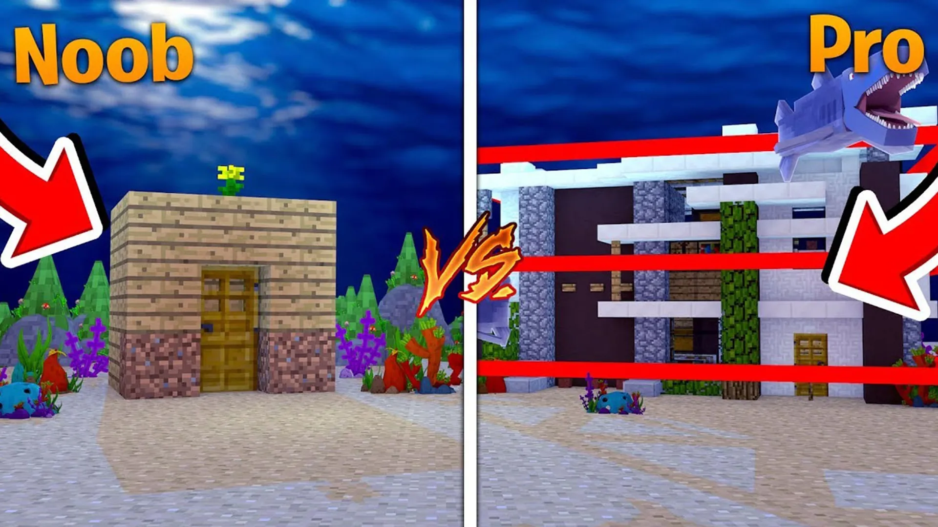 Secret Underwater Challenge: Tiny Turtle