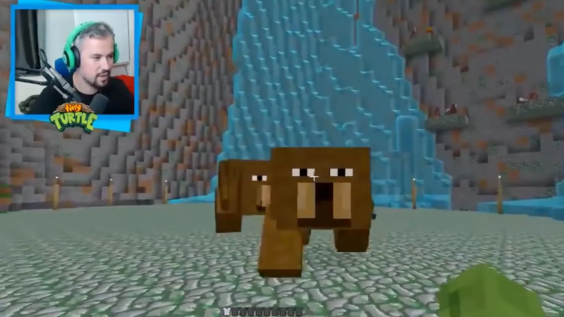 How to Summon Dark Panther in Minecraft