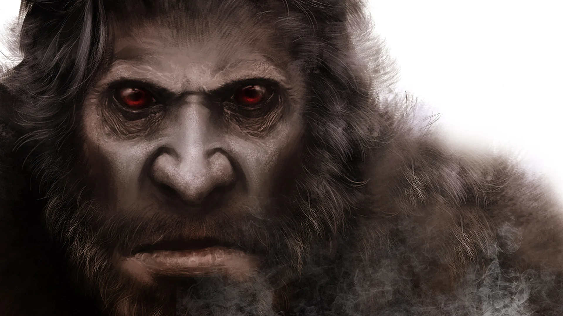 TRACK - Search for Australia's Bigfoot