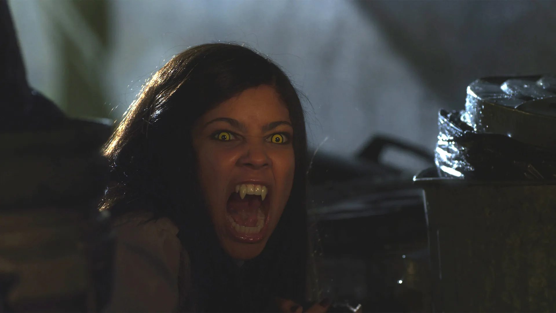 My Babysitter's a Vampire