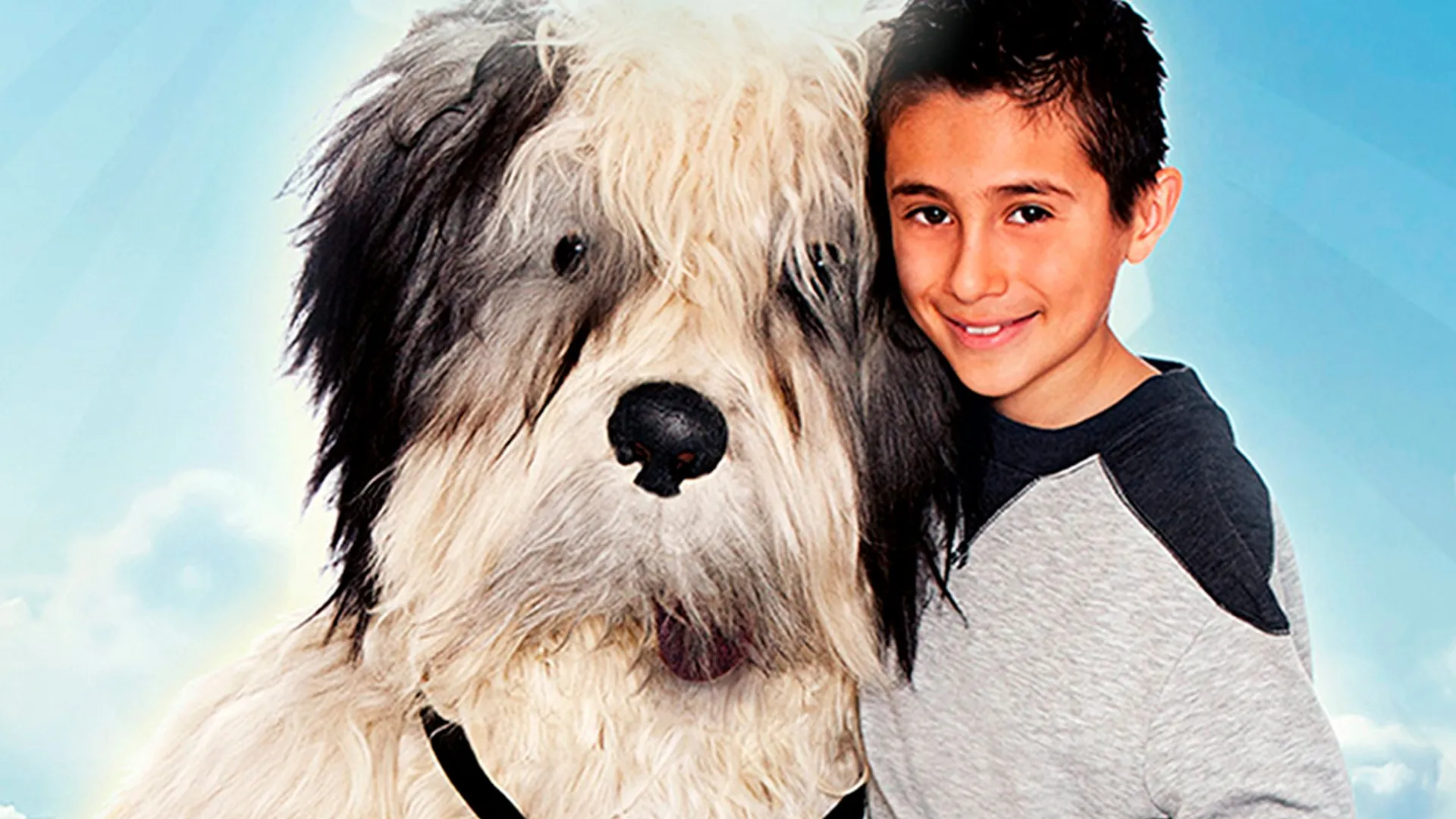 Meu Cão da Guarda