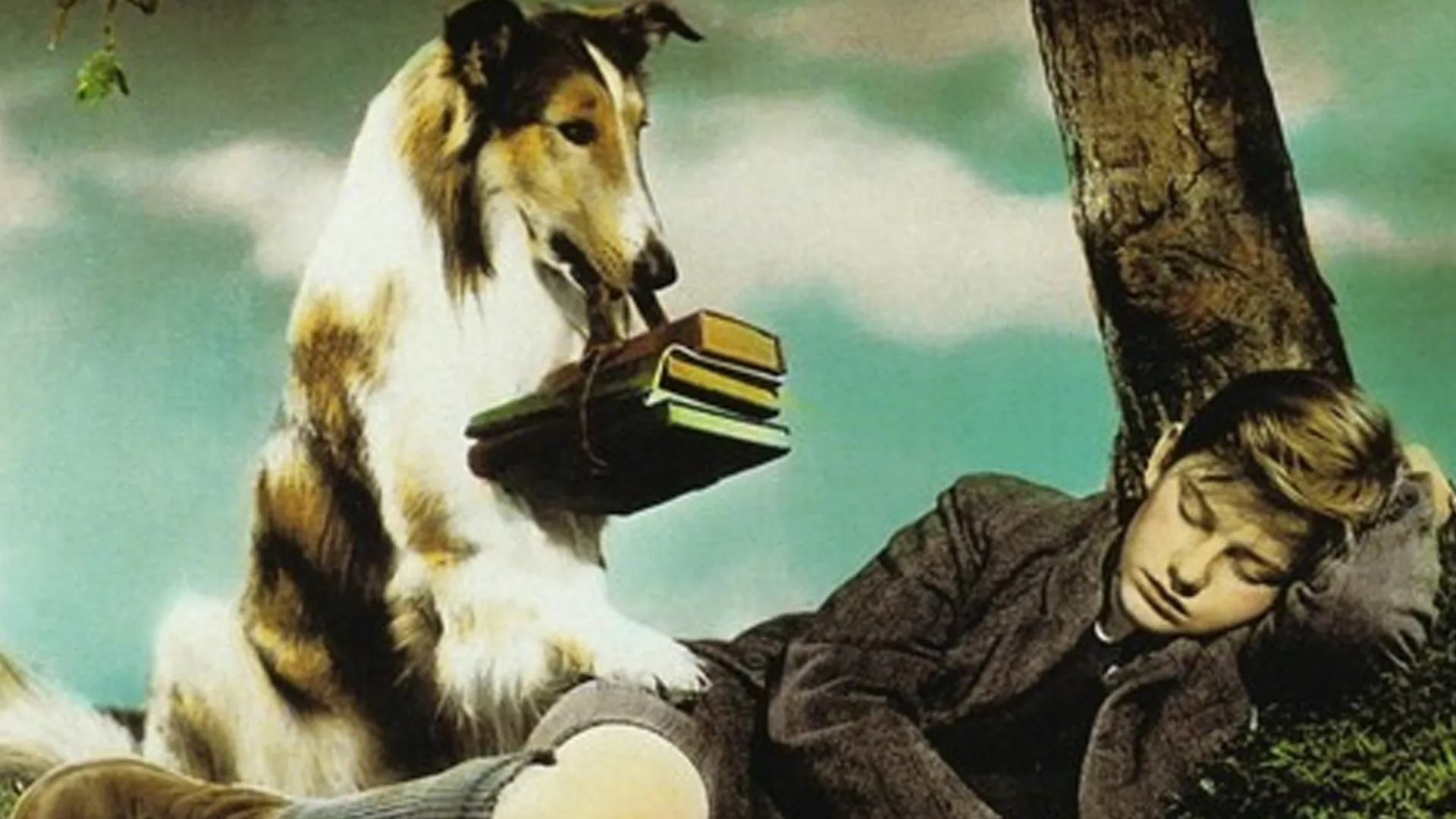 Lassie