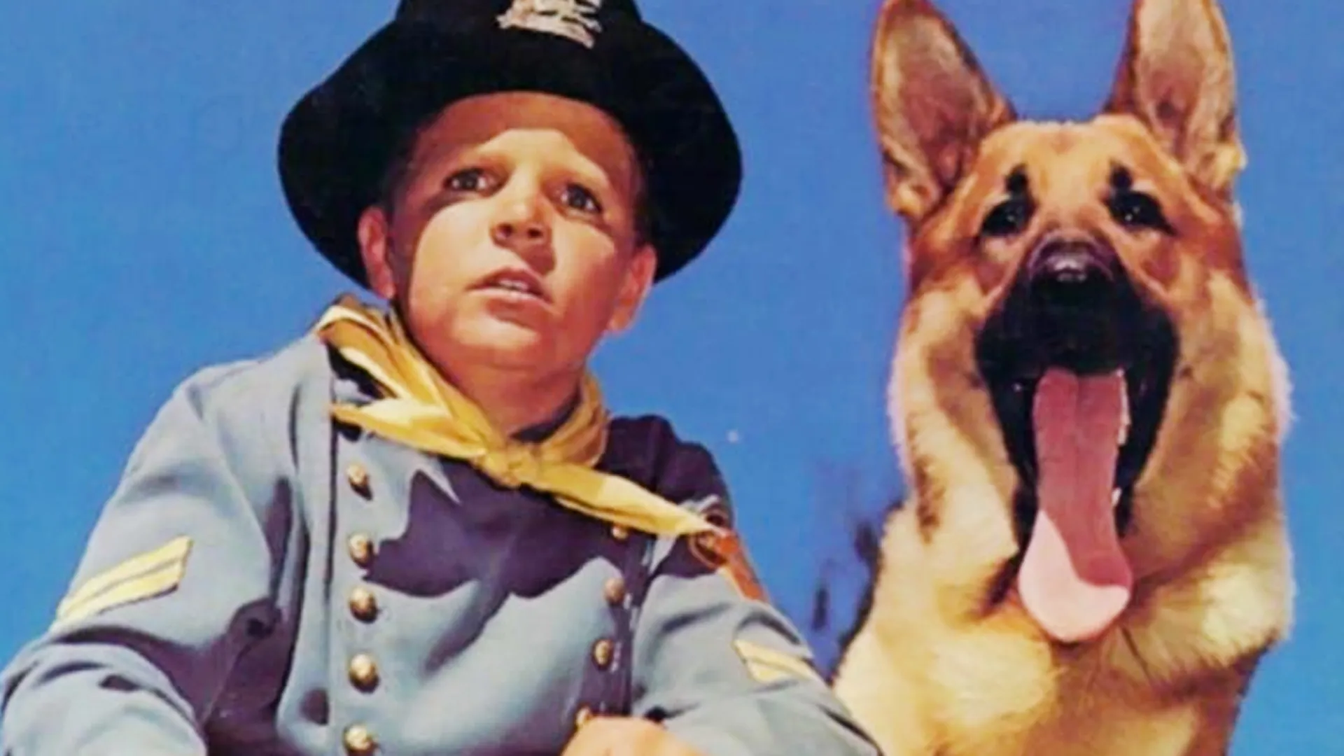 Rin-tin-tin