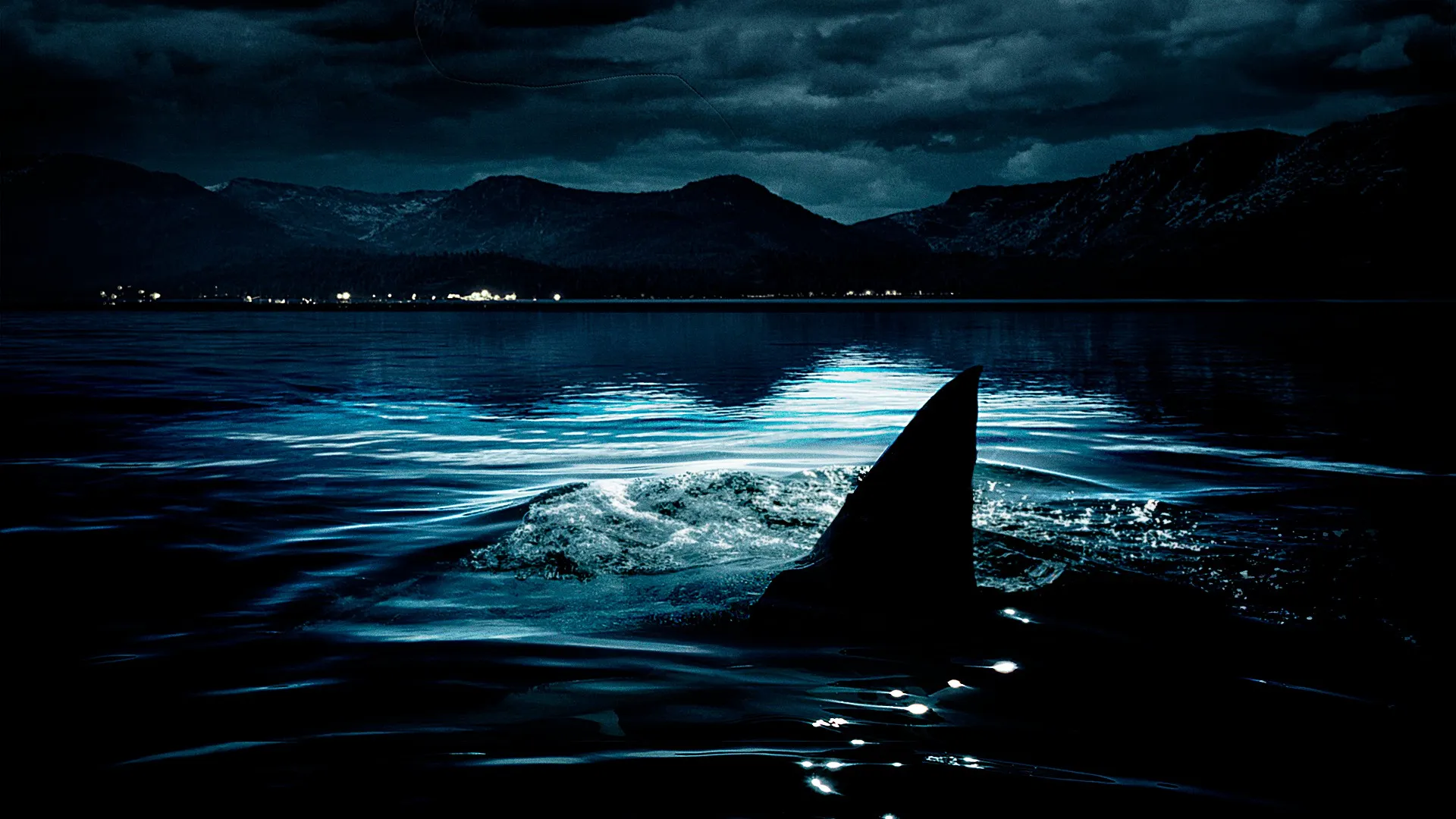 Shark Lake