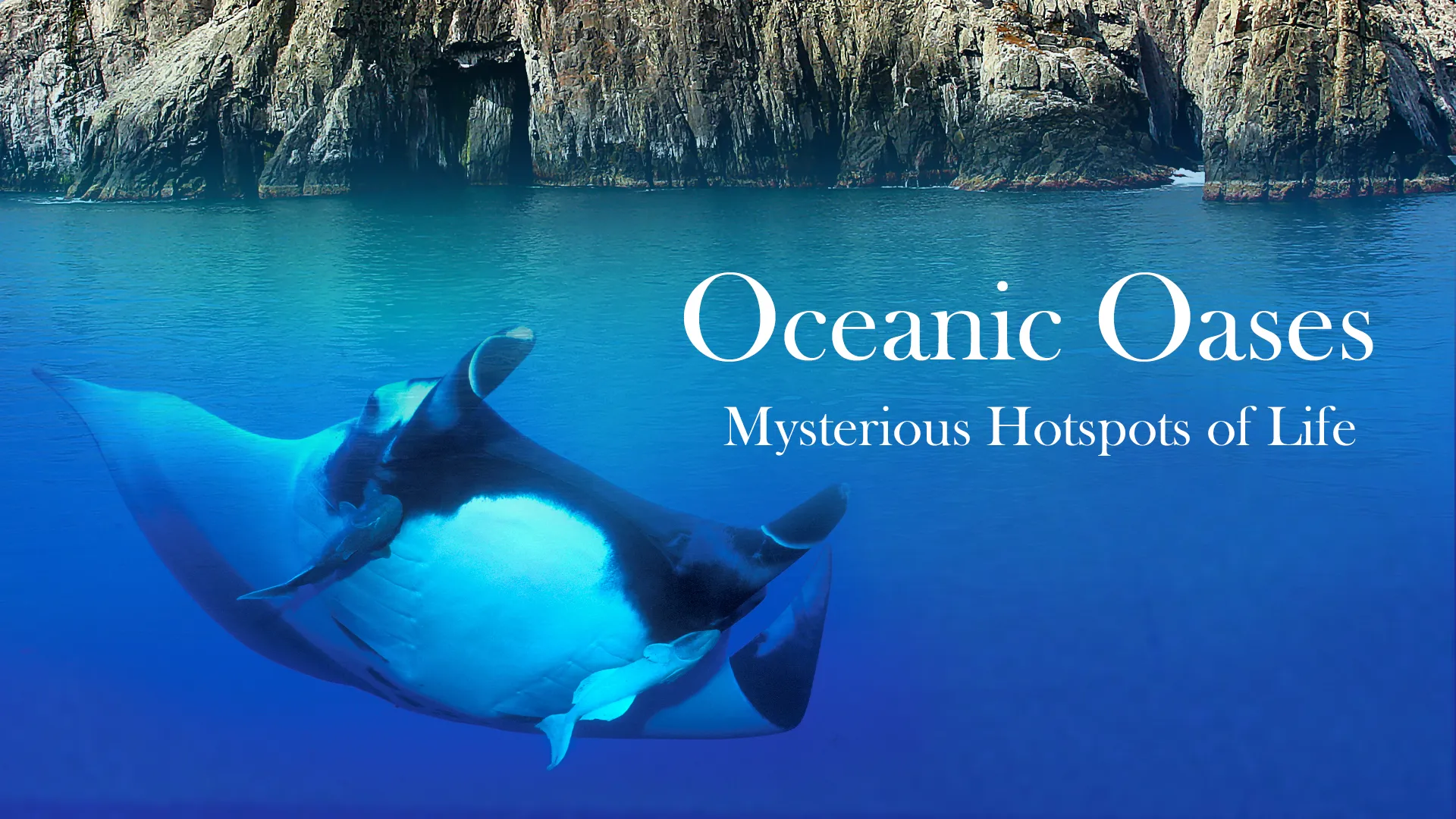 Oceanic Oases - Mysterious Hotspots of Life
