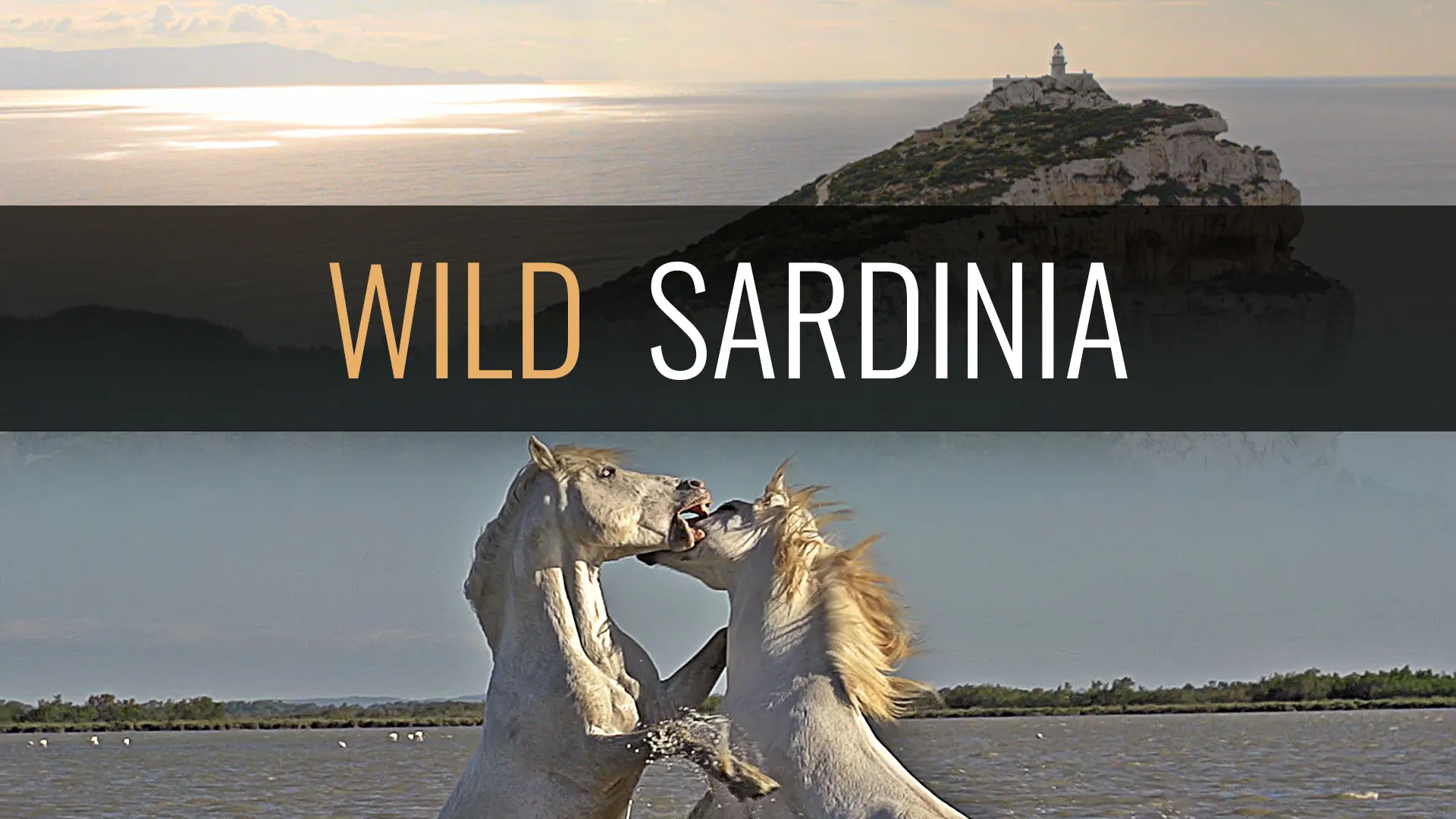 The Epitome of Pure Wilderness: Sardinia