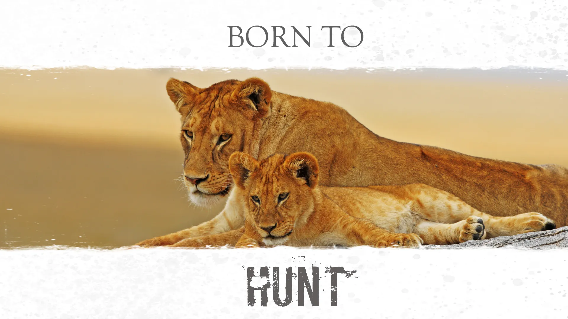 Amazing Nature: Born to Hunt - Kill to Survive