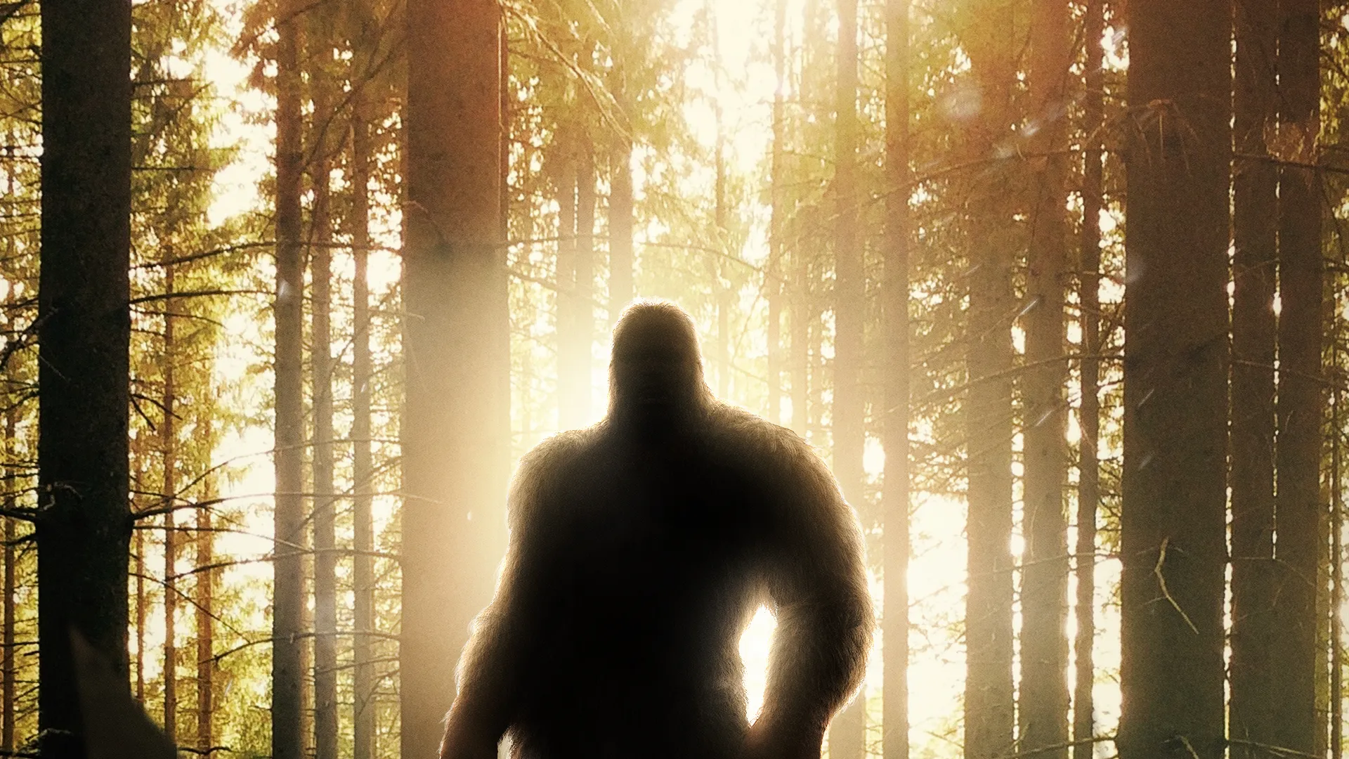 Discovering Bigfoot