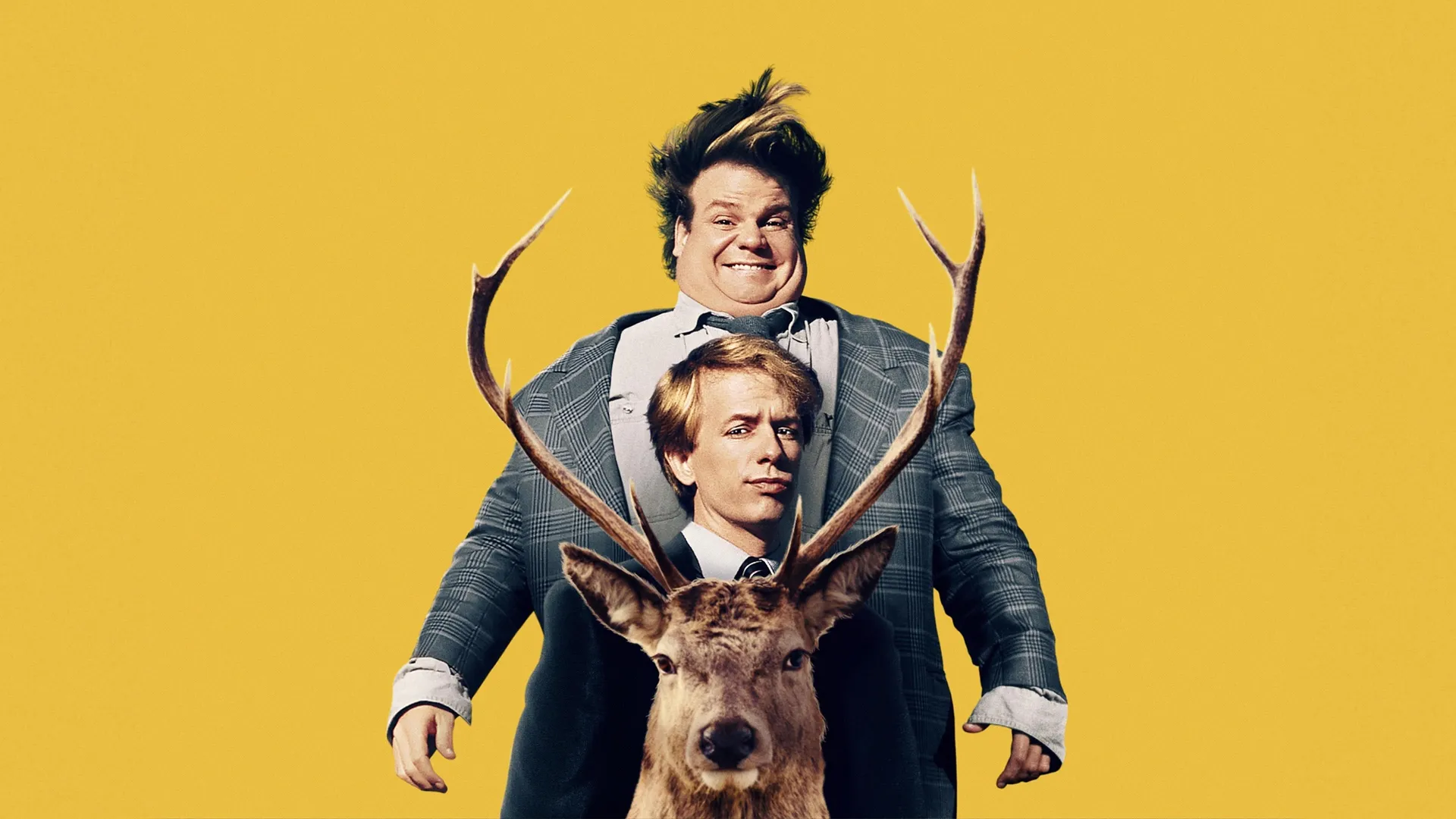 Tommy Boy - Durch dick und dünn