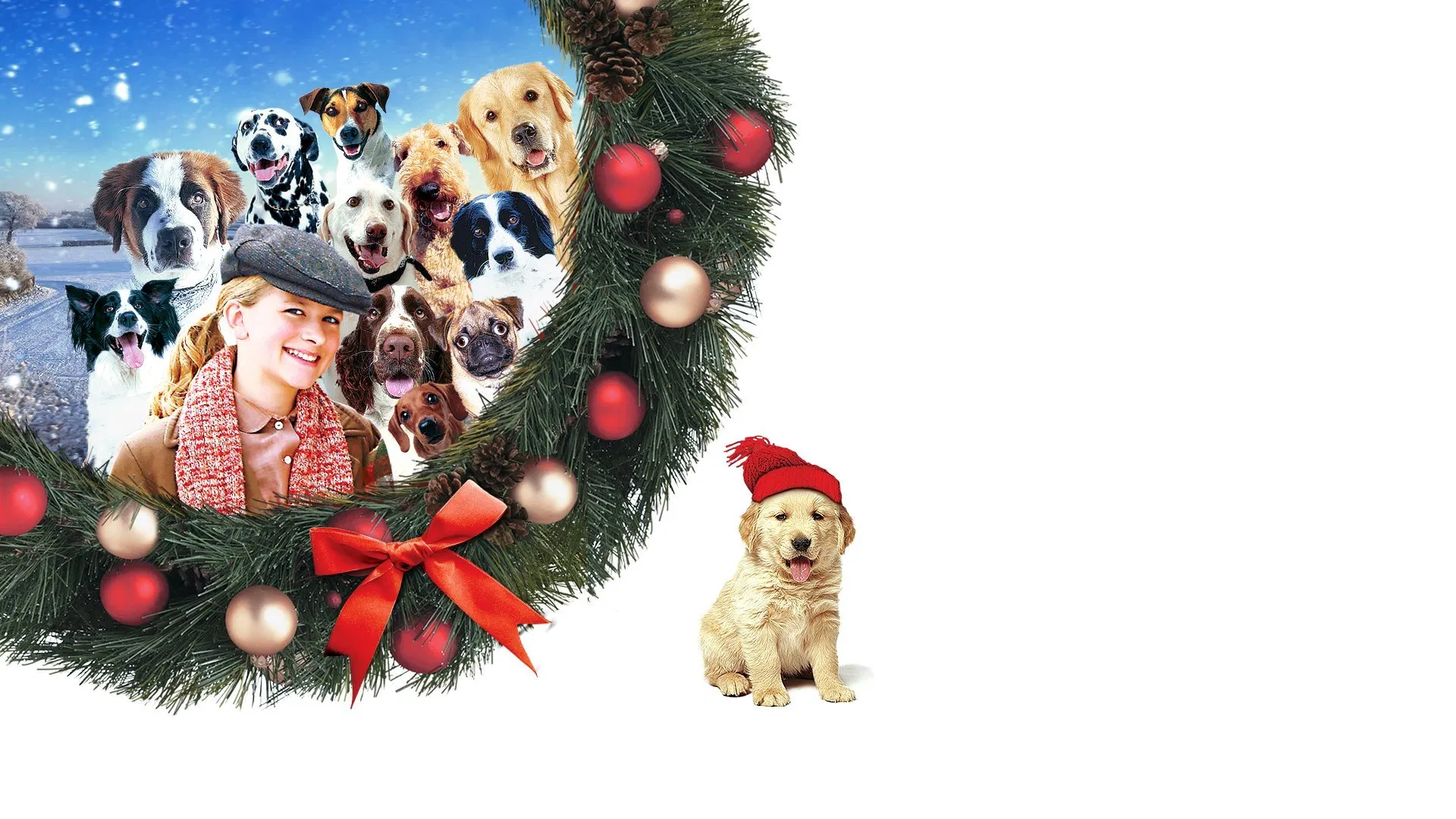 The 12 Dogs of Christmas