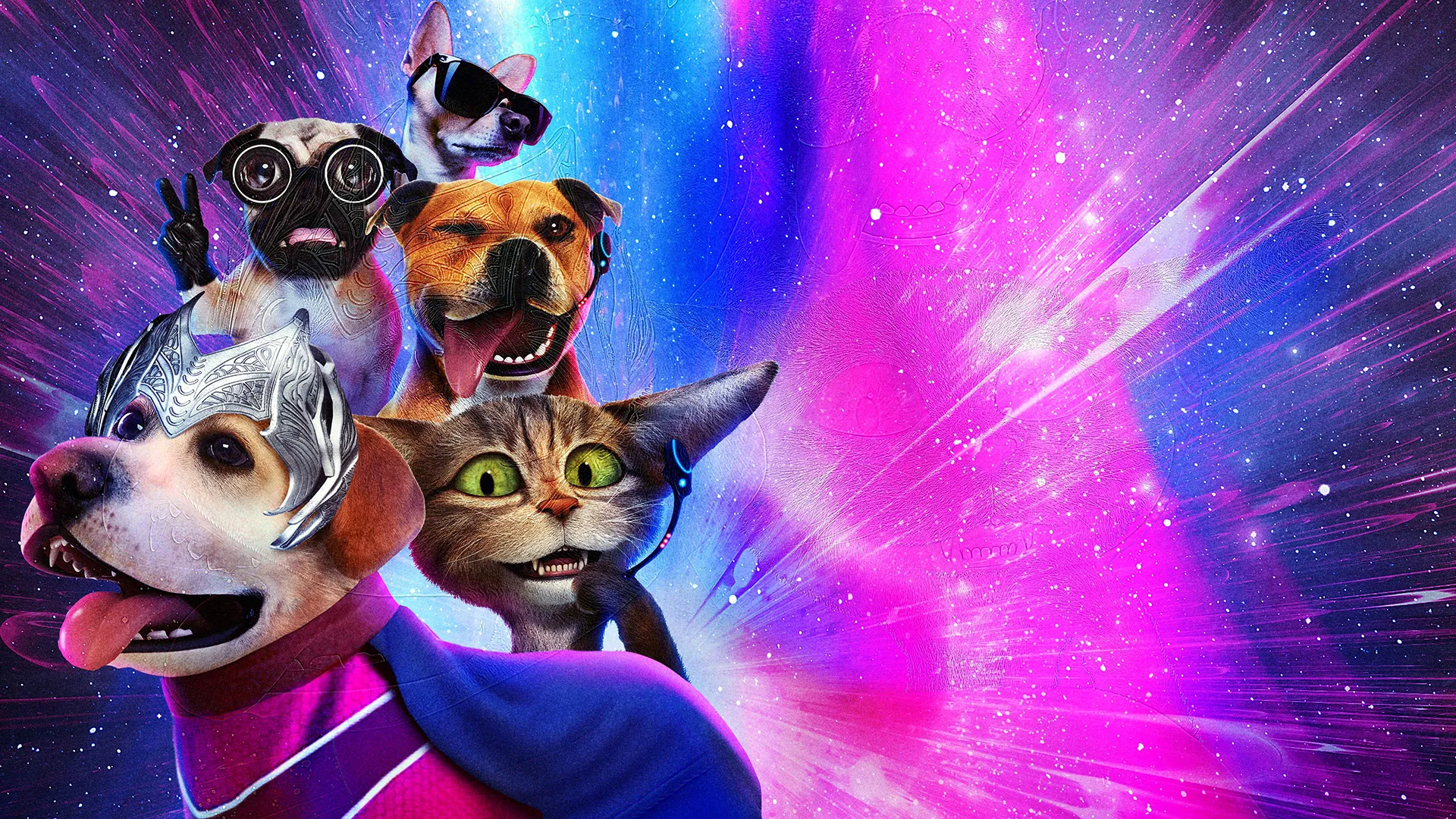 Wonder Dogs