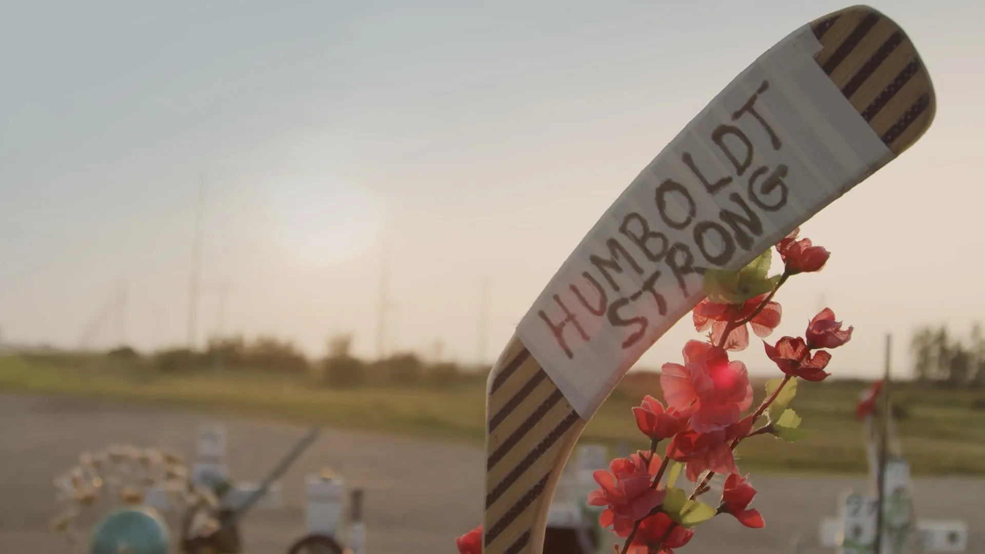 Humboldt: The New Season