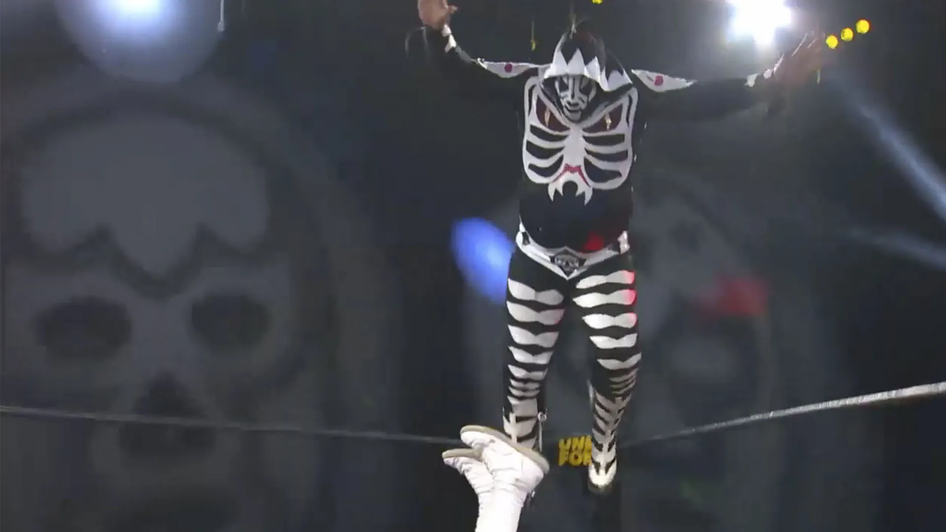Lucha fighter