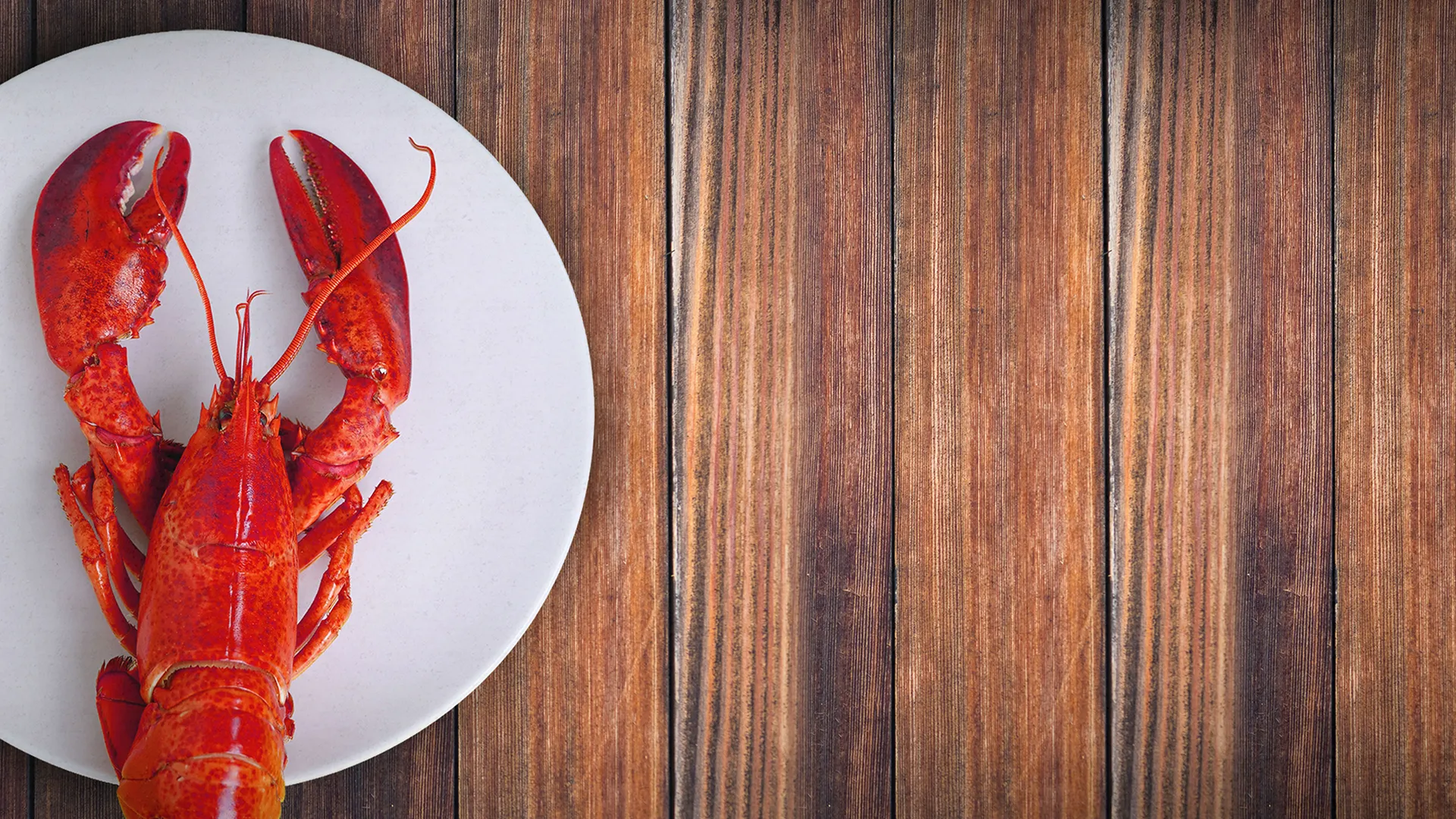 Lobster War: The Fight Over The World's Richest Fishing Grounds