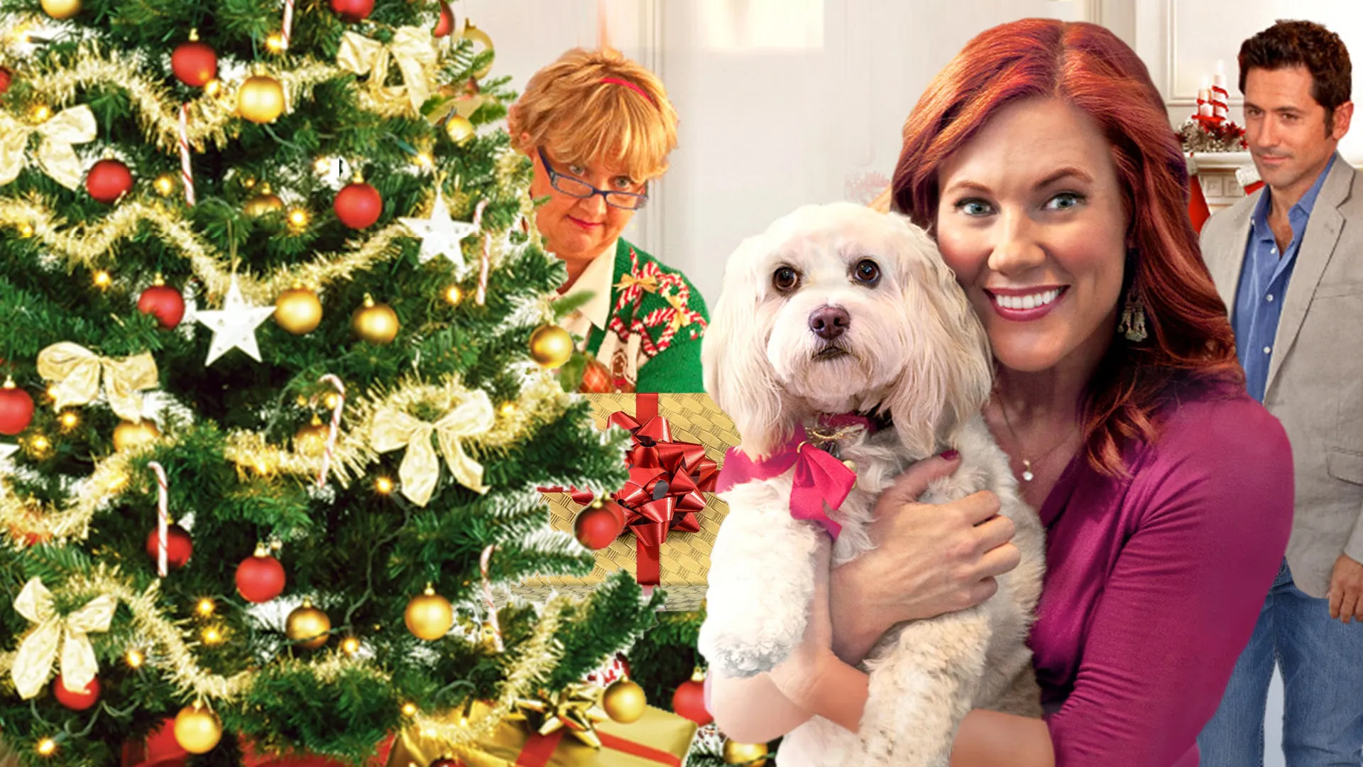 12 Wishes of Christmas