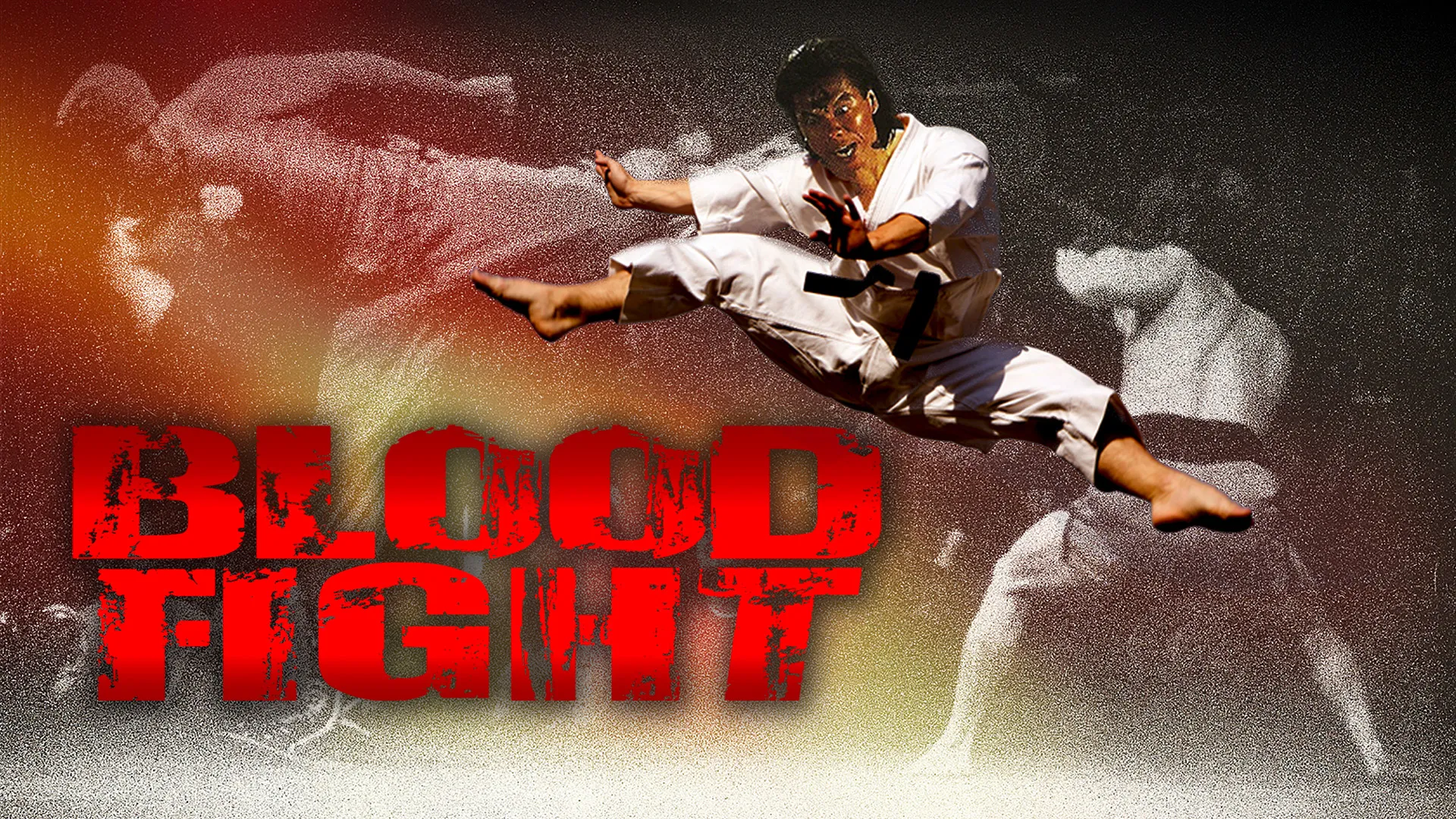 Bloodfight (aka Final Fight)