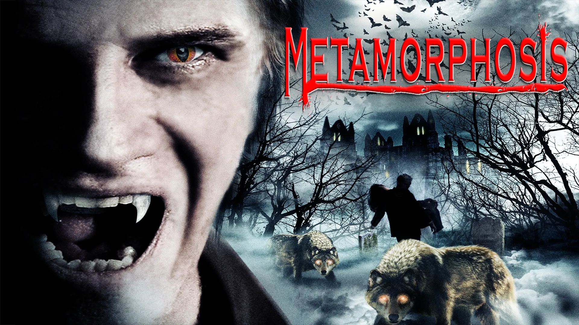 Metamorphosis