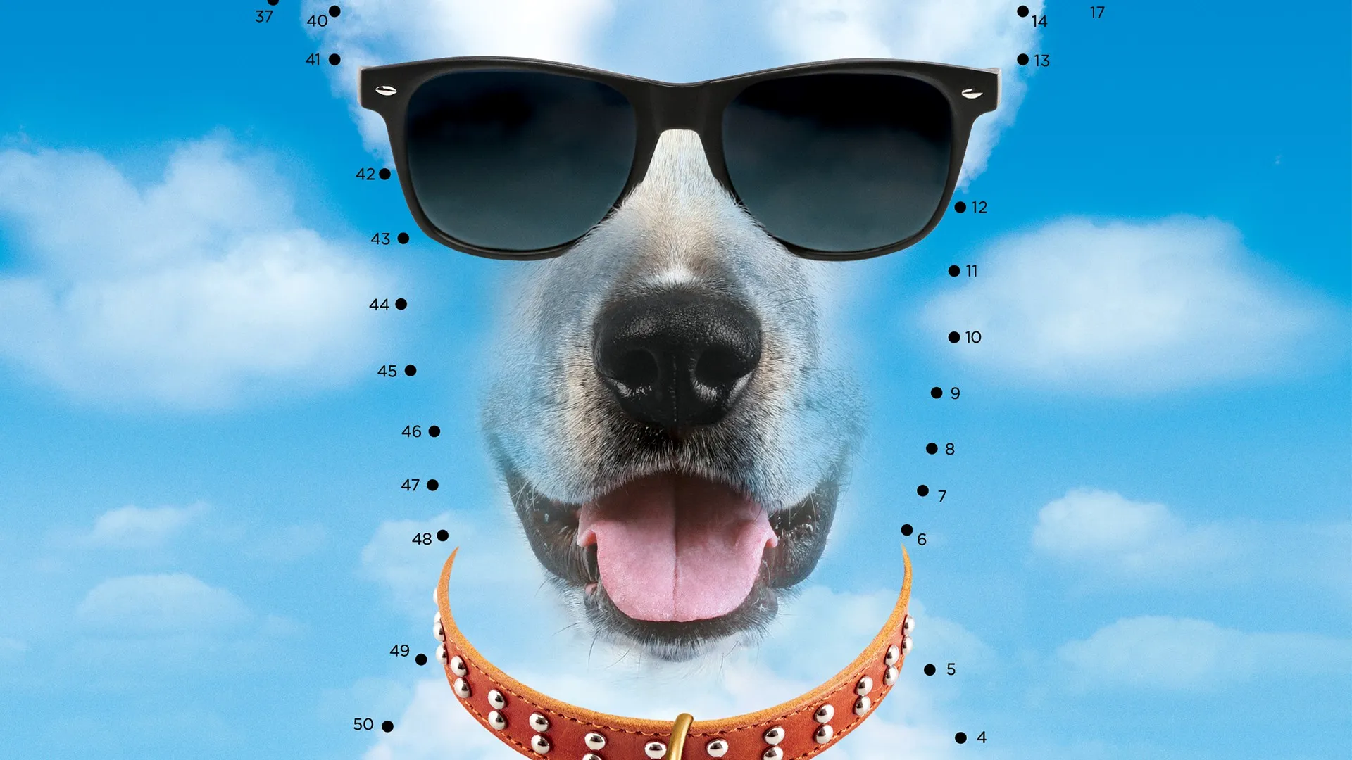 ¿EI, Dónde está mi Perro?