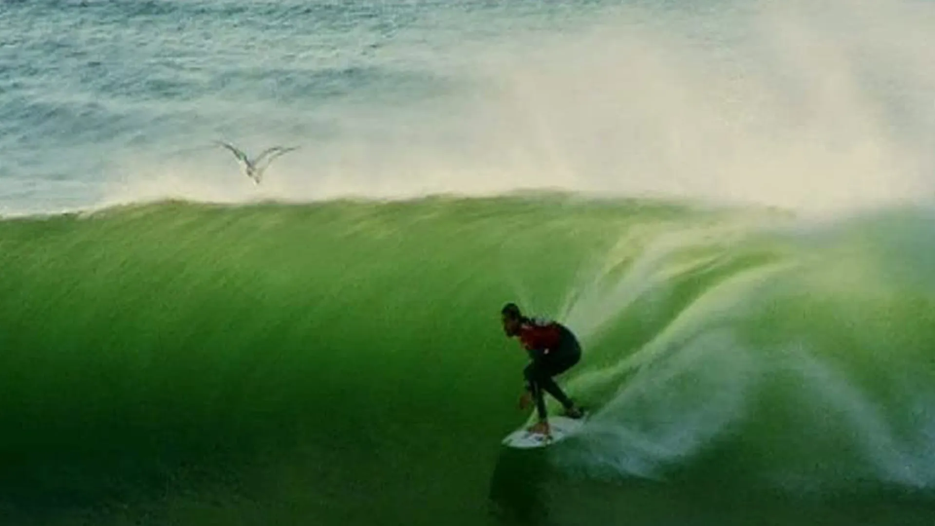 BoardHeads