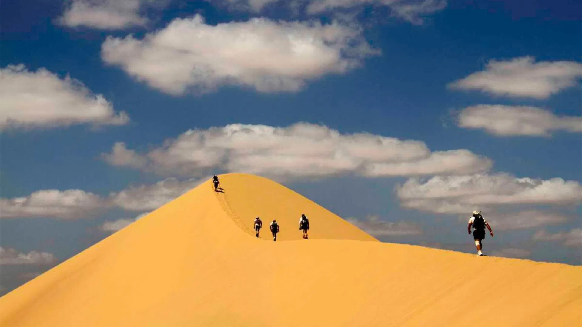 Desert Runners
