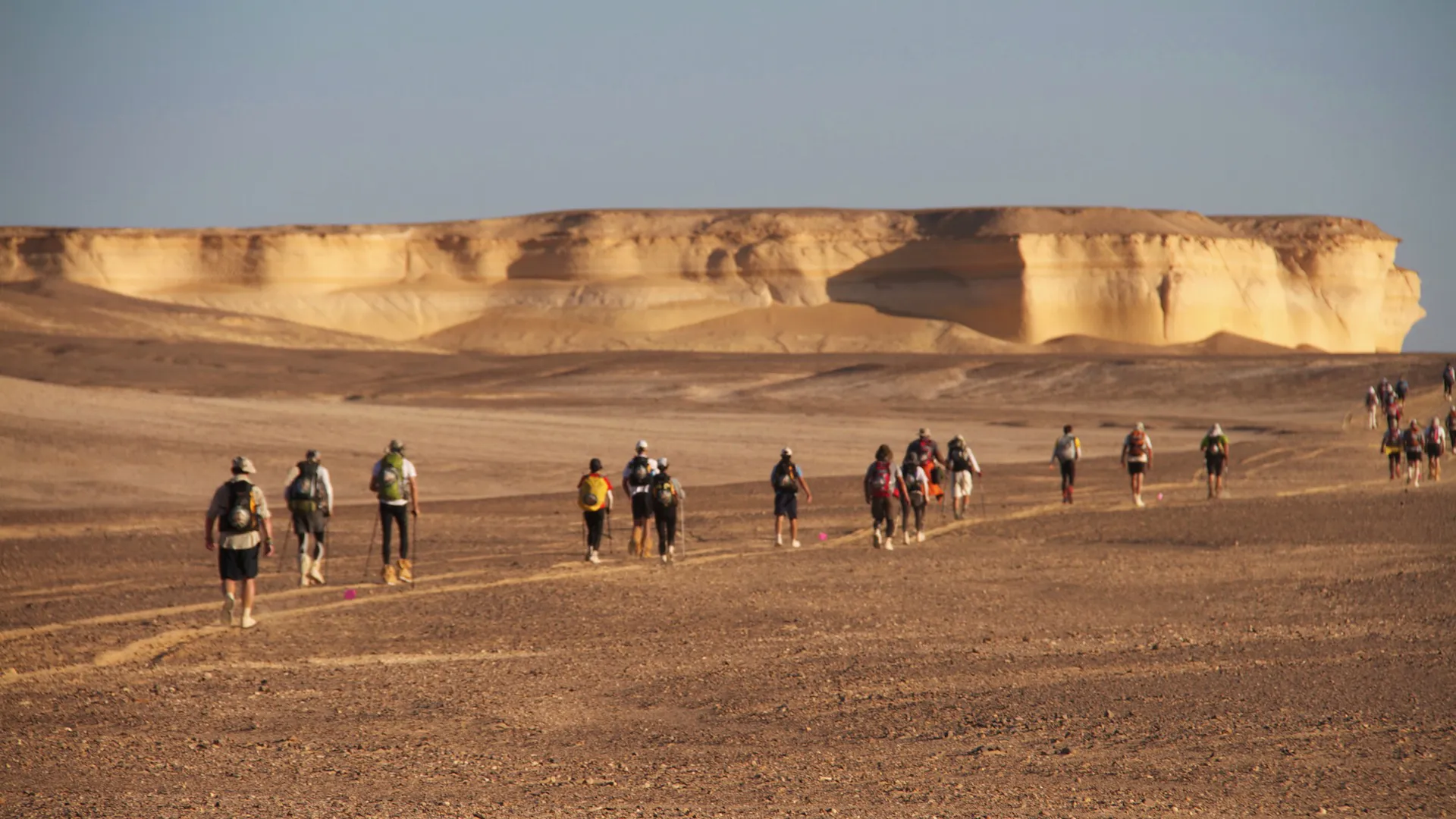 Desert Runners
