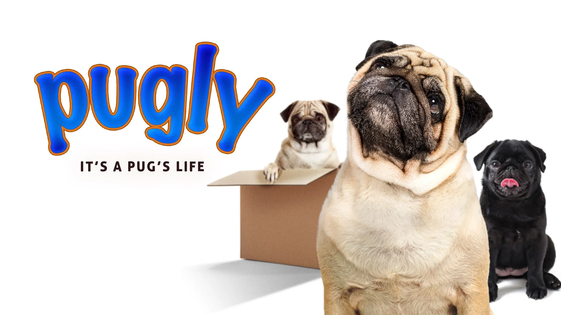 Pugly