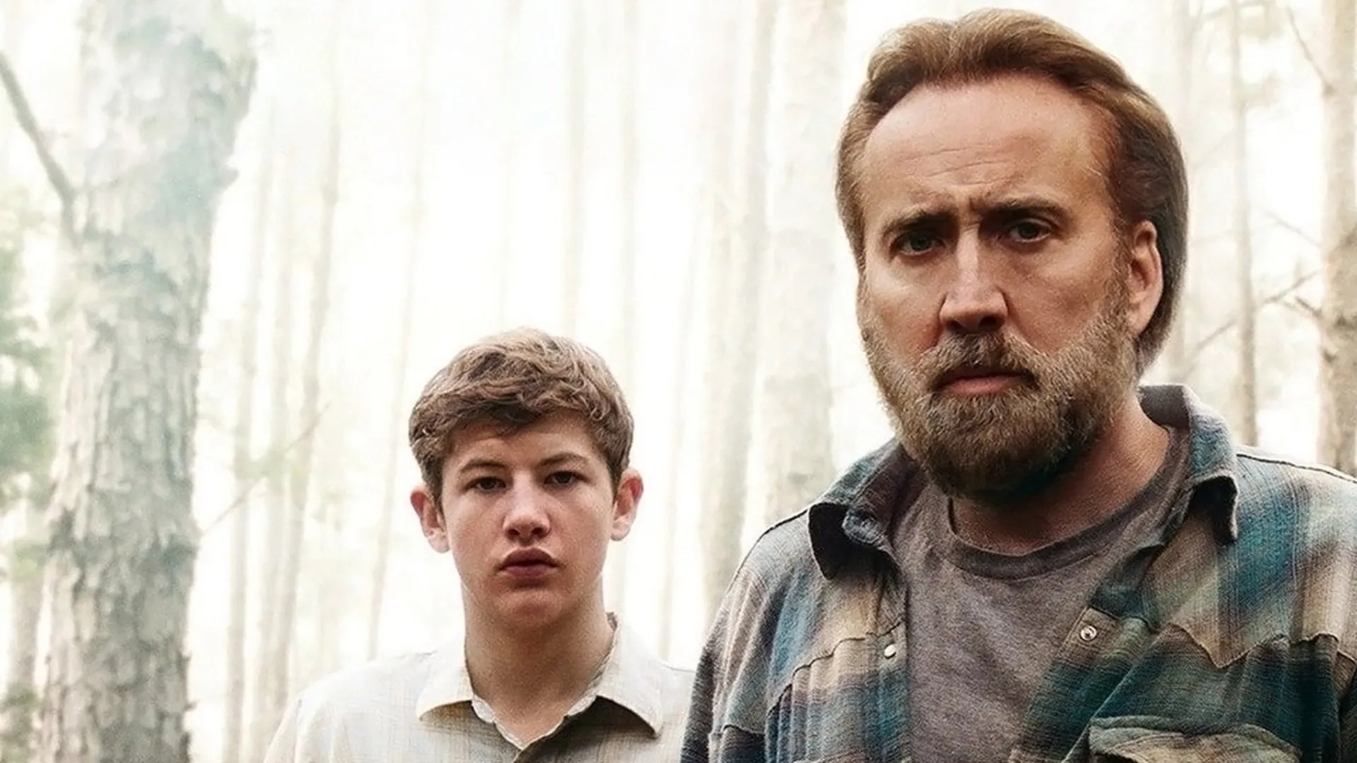 Joe (2013)