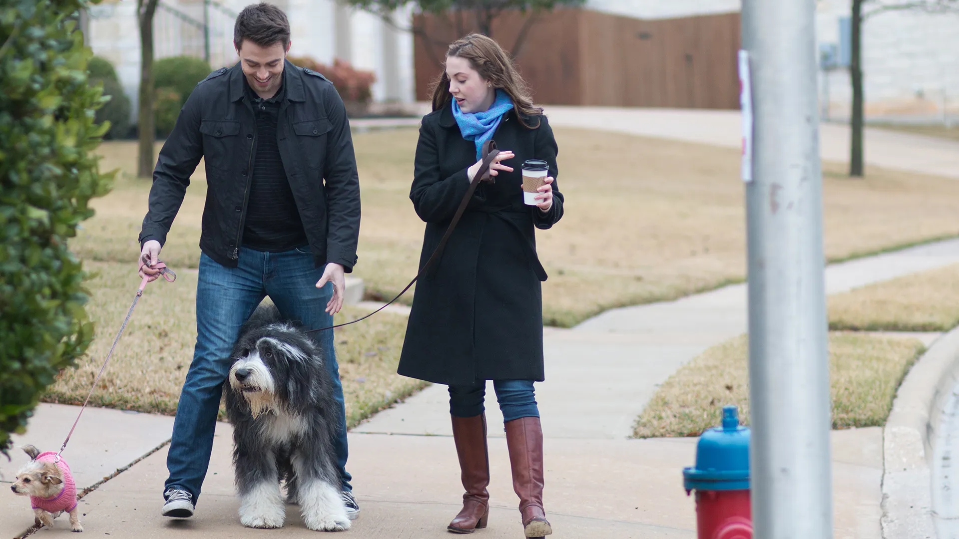 A Dogwalker's Christmas Tale