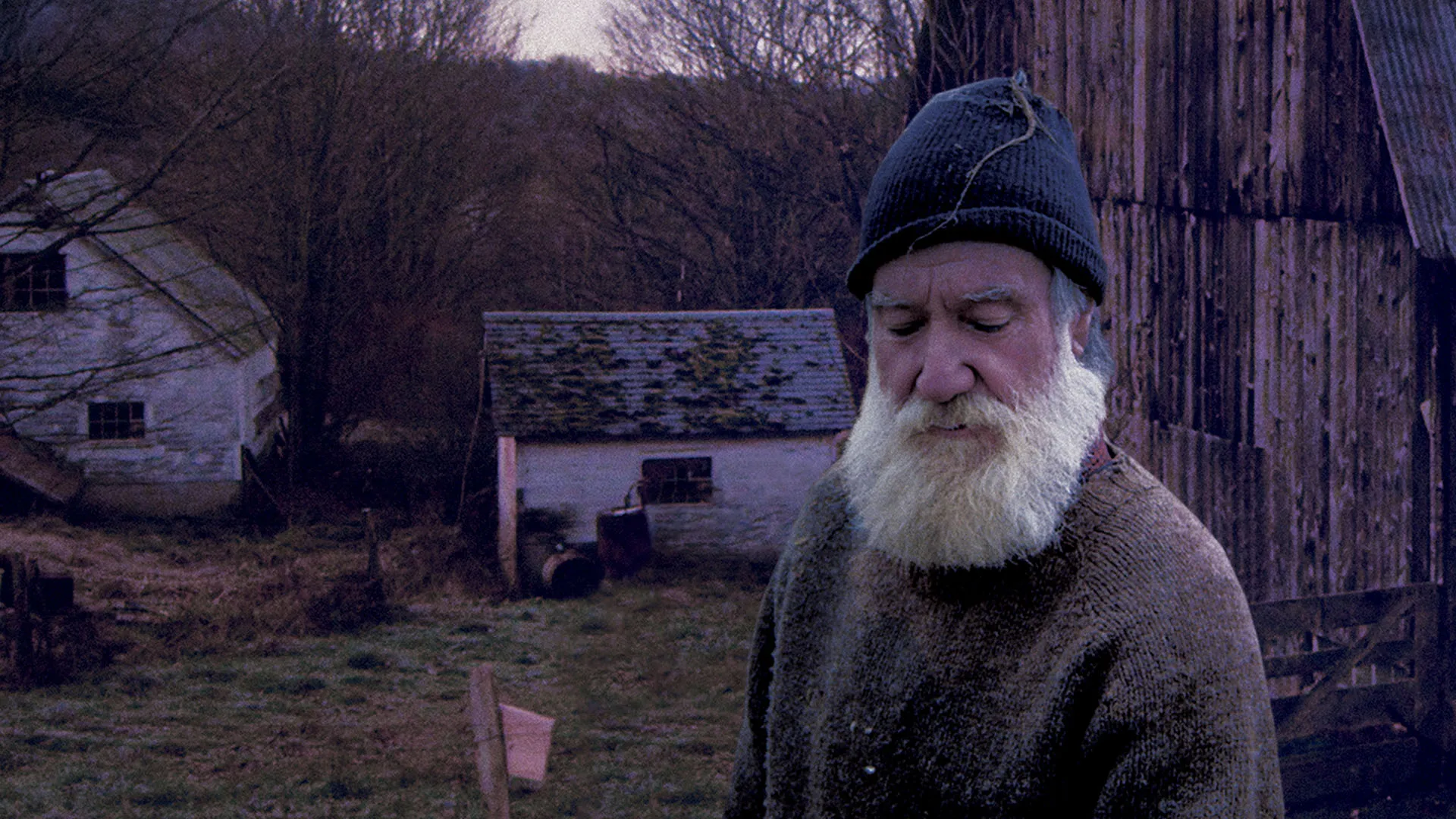 Peter and the Farm