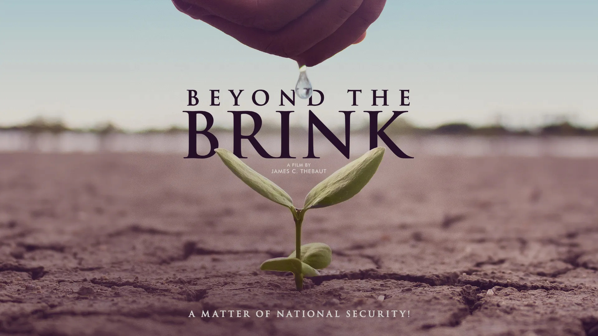 Beyond the Brink