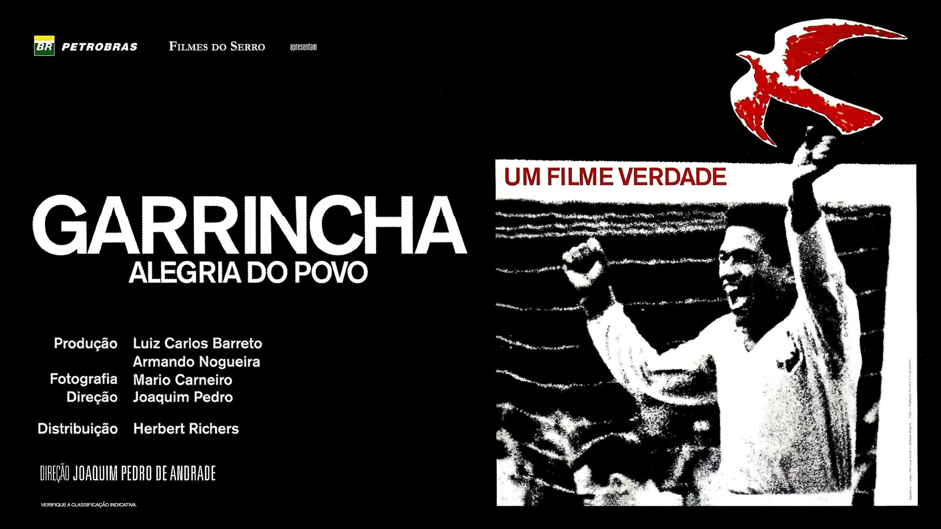 Garrincha, A Alegria Do Povo