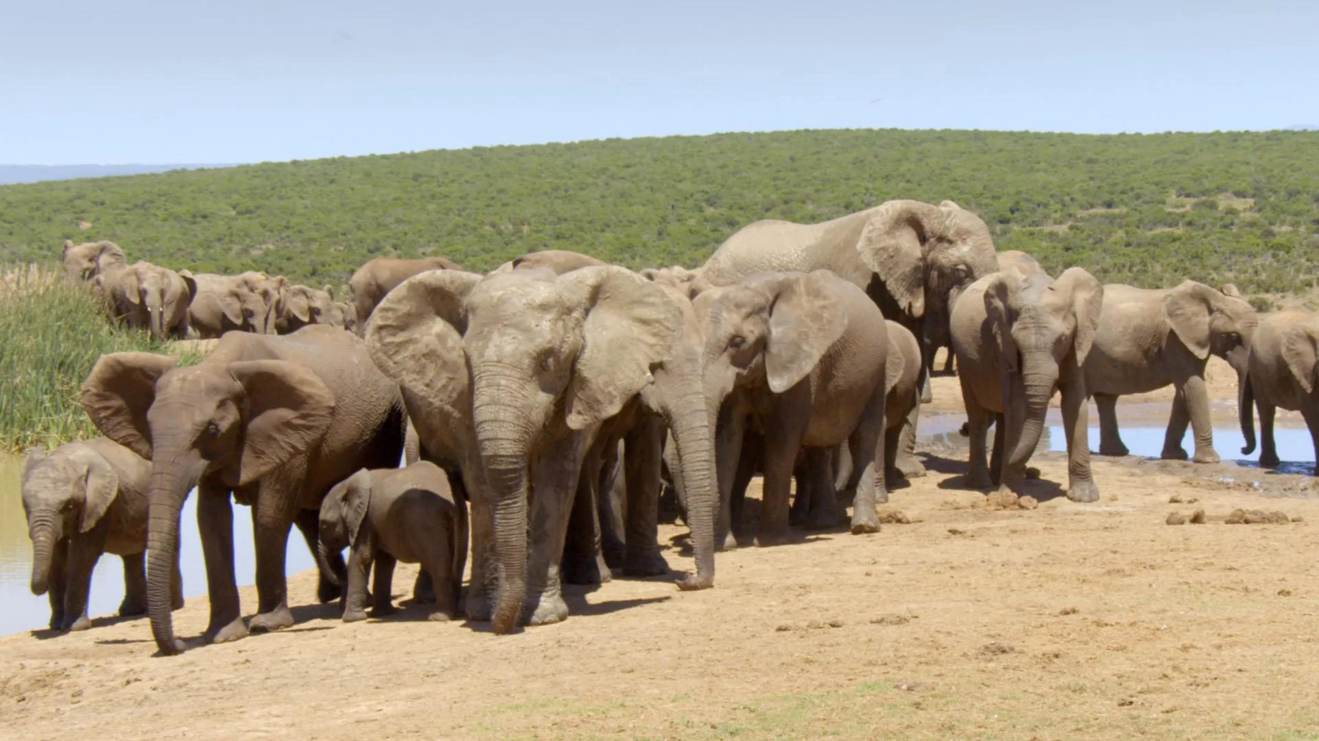 Grandes Parques de Africa