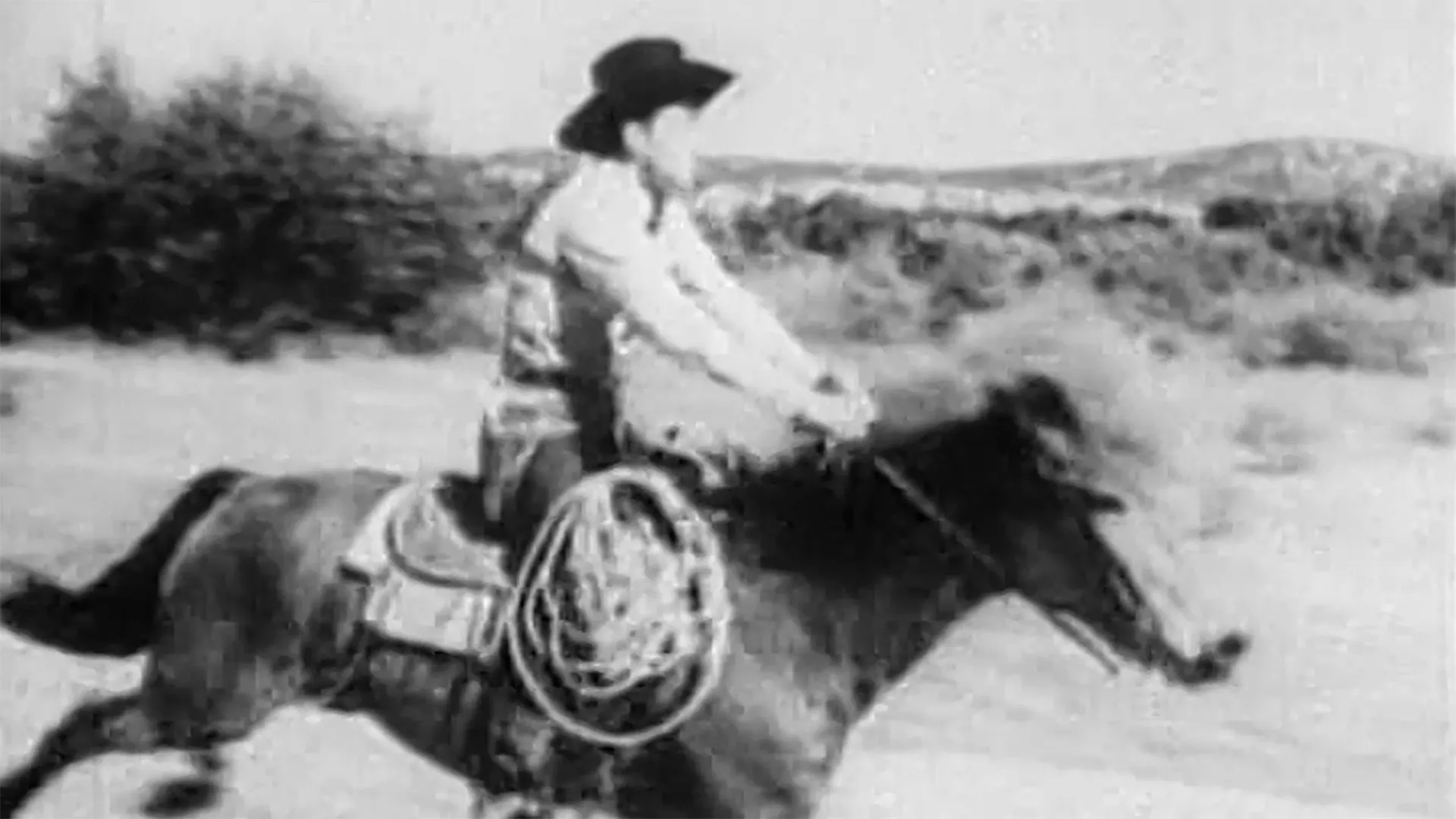 The Dawn Rider