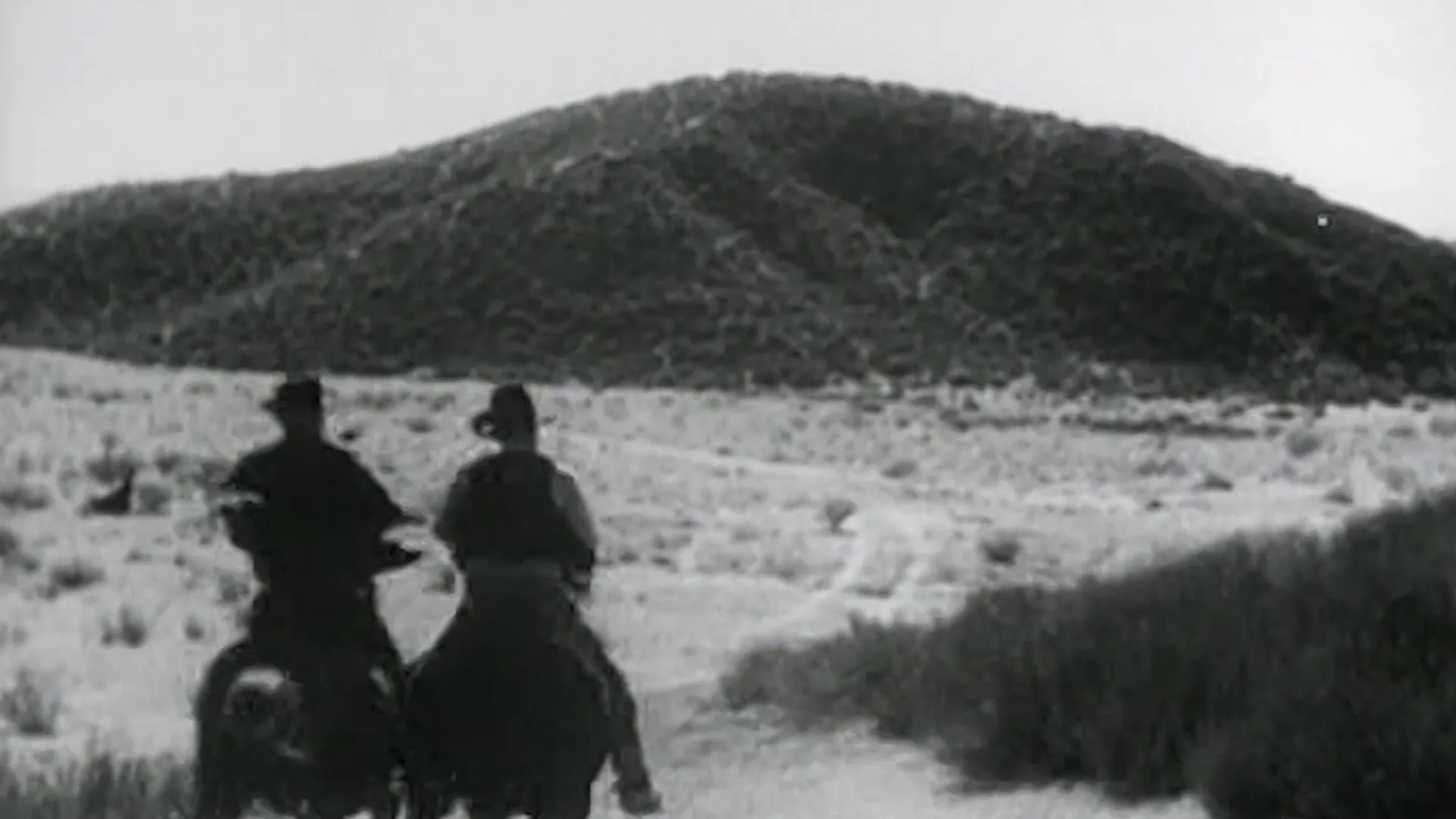 Sagebrush Trail