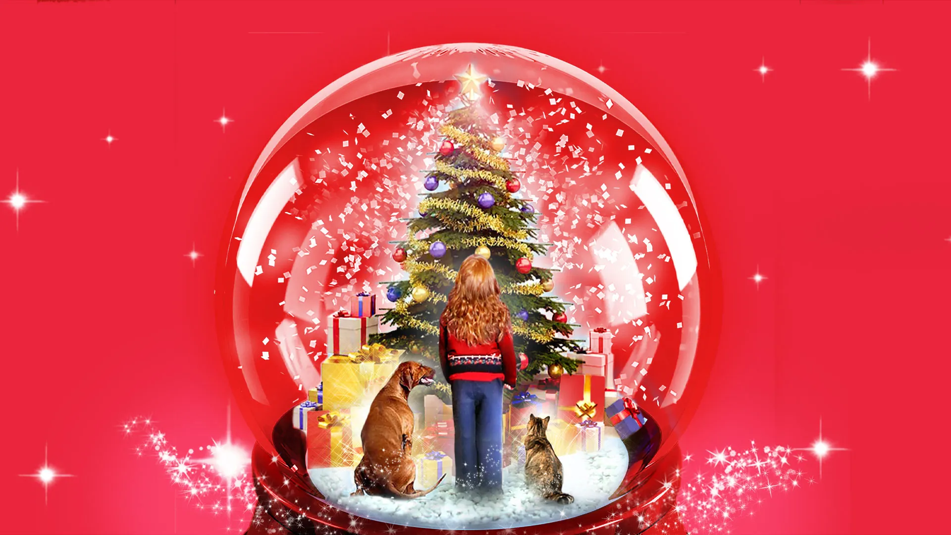 Le miracle de Noël