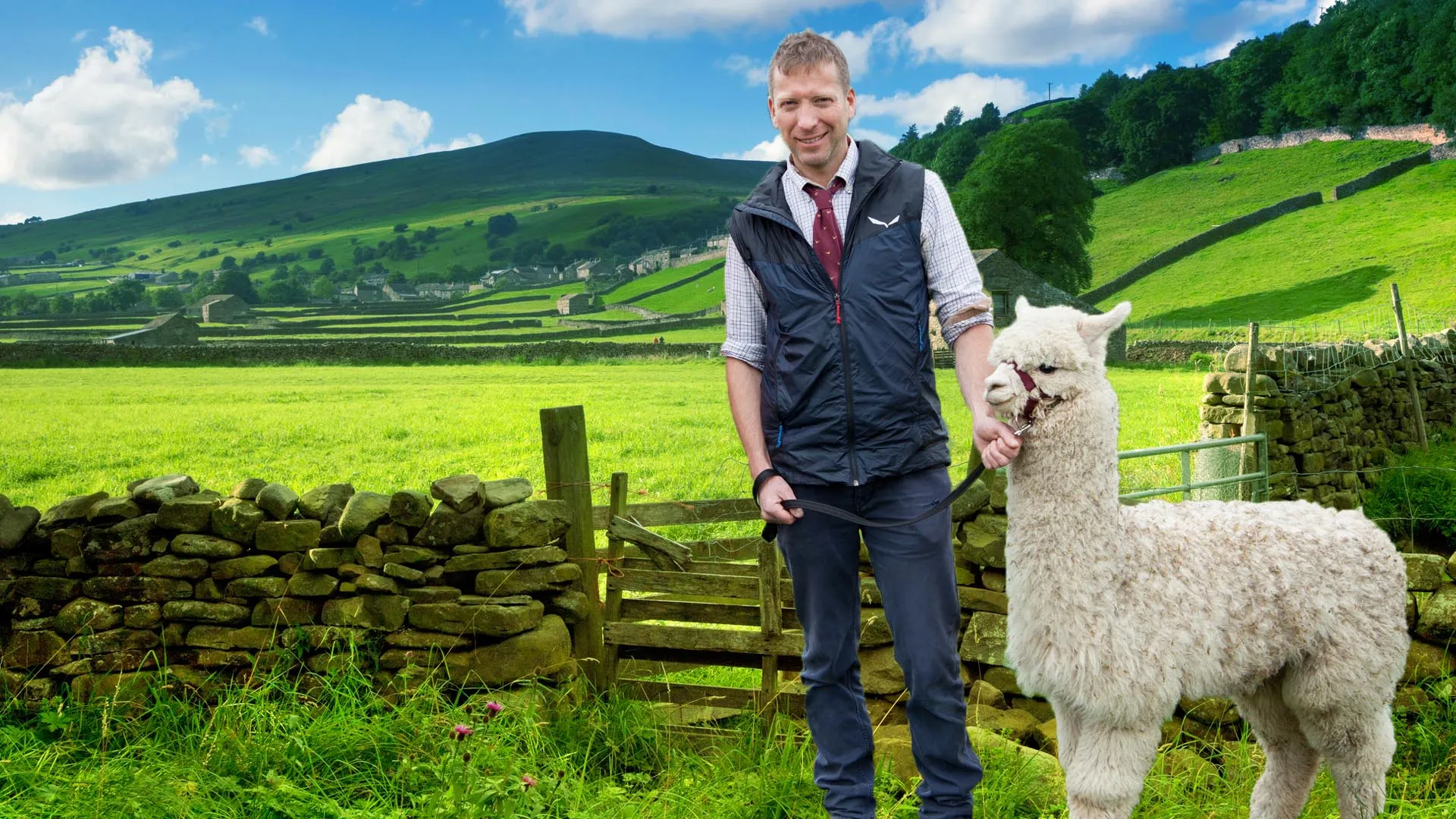 The Yorkshire Vet