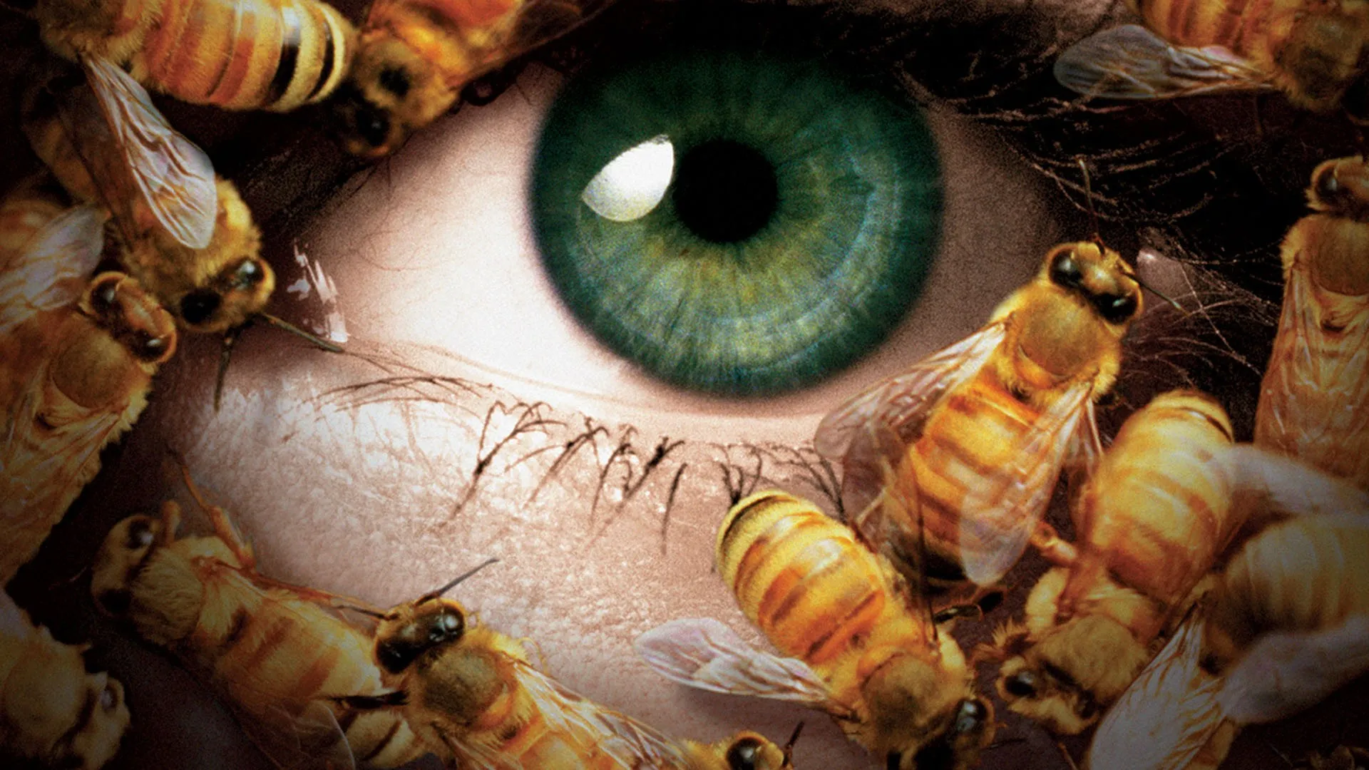 Candyman III