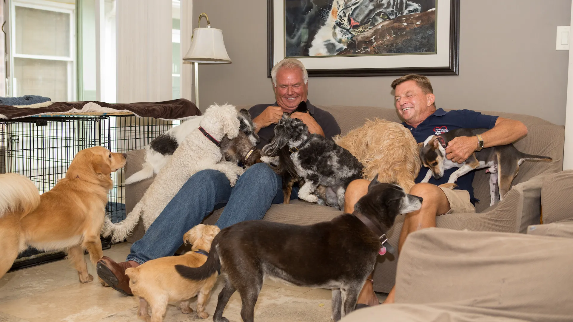Life in the Doghouse