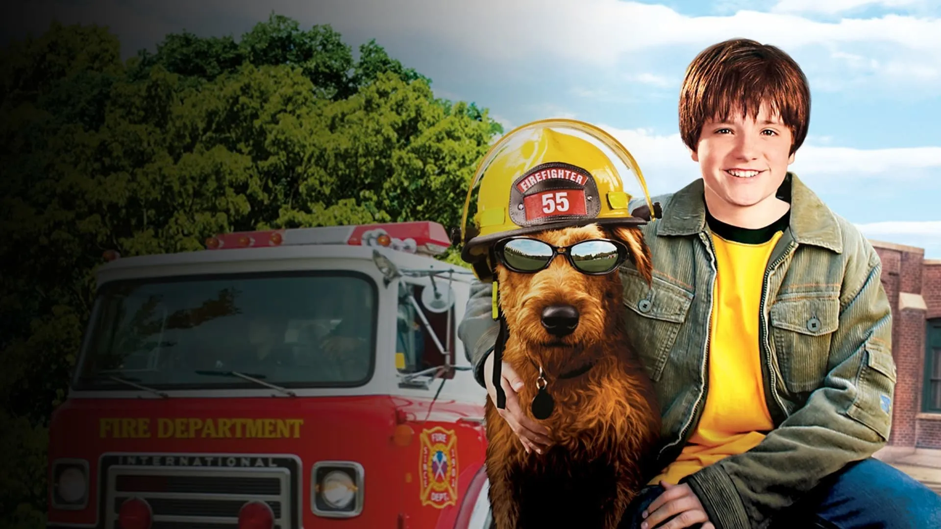 Perro al rescate